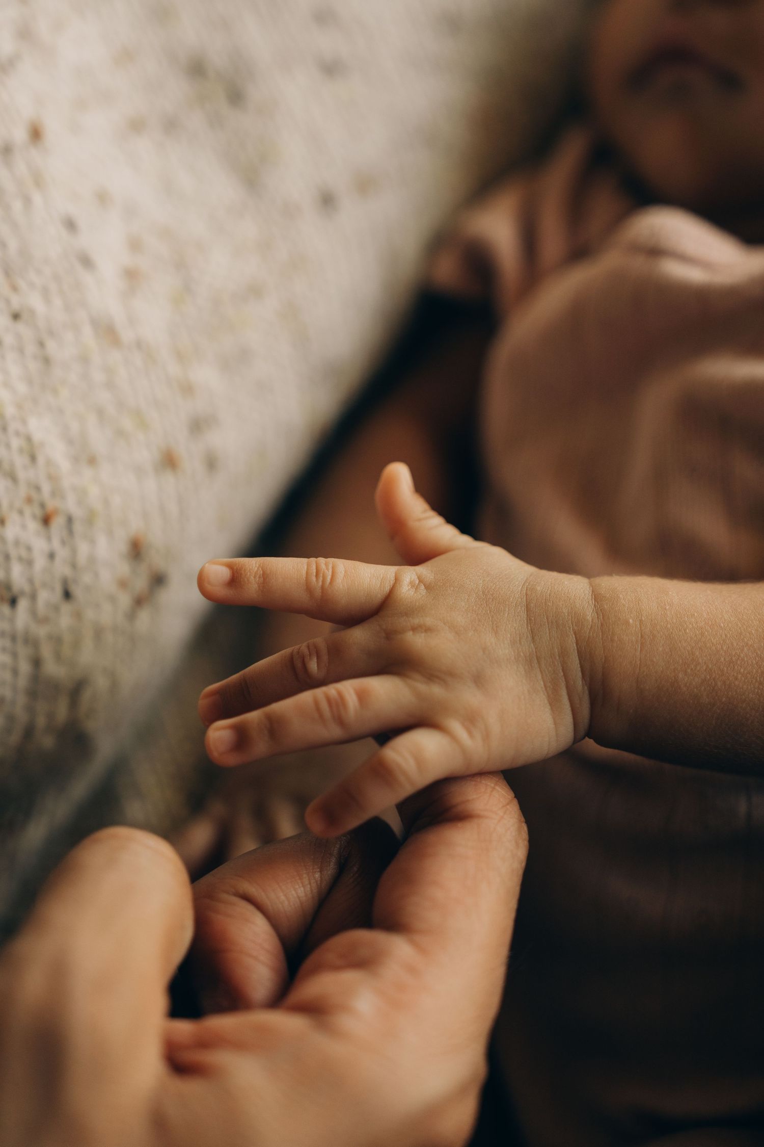 A tender close-up of a newborn baby's tiny hand resting gently on an adult's fingers, symbolizing new life and parental love.