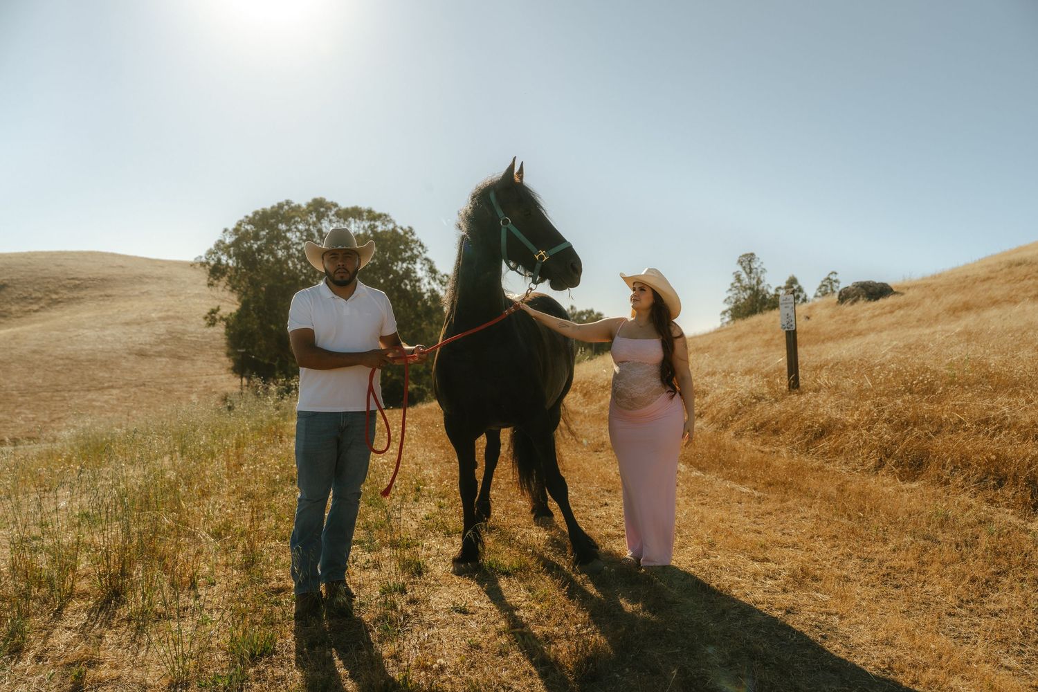 Couple with black horse in sunny golden field, man in white shirt and woman in pink dress wearing straw hat.
