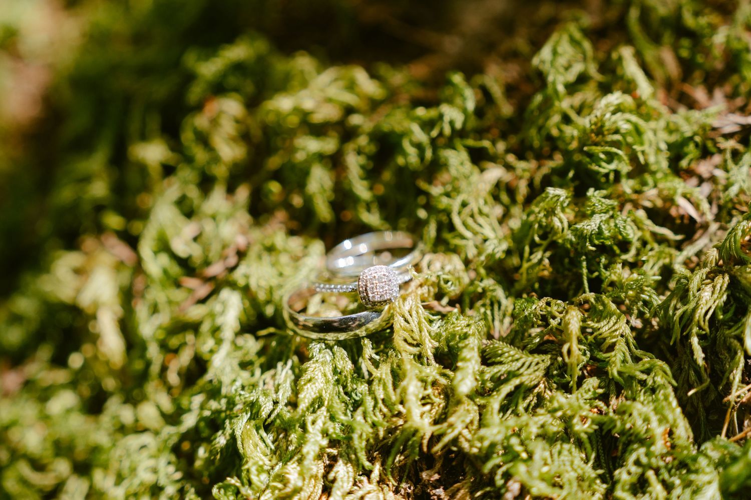 Two silver wedding bands resting on lush green moss in natural outdoor setting.