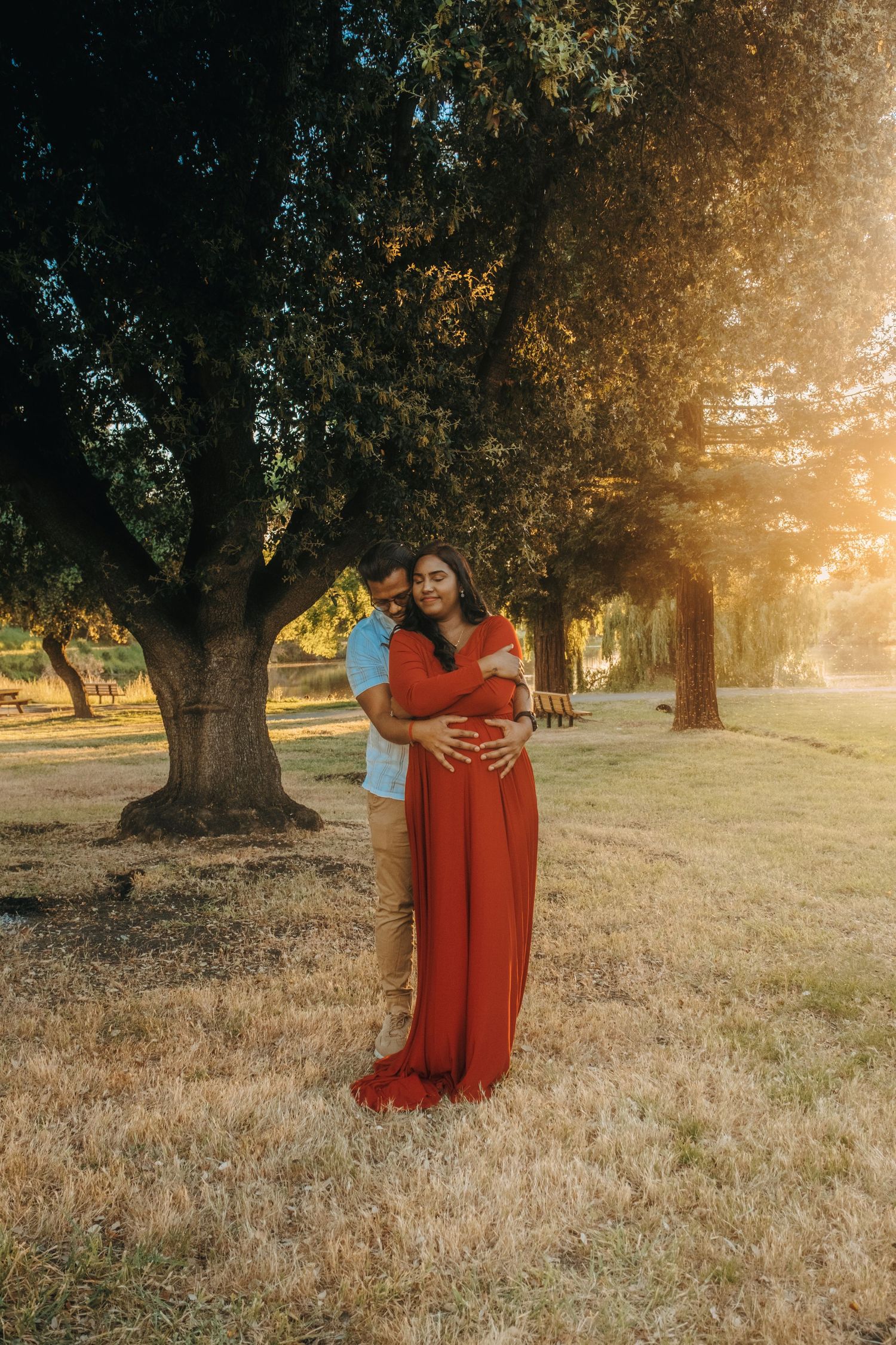 A sunset maternity photoshoot under an ancient olive tree in a golden field.