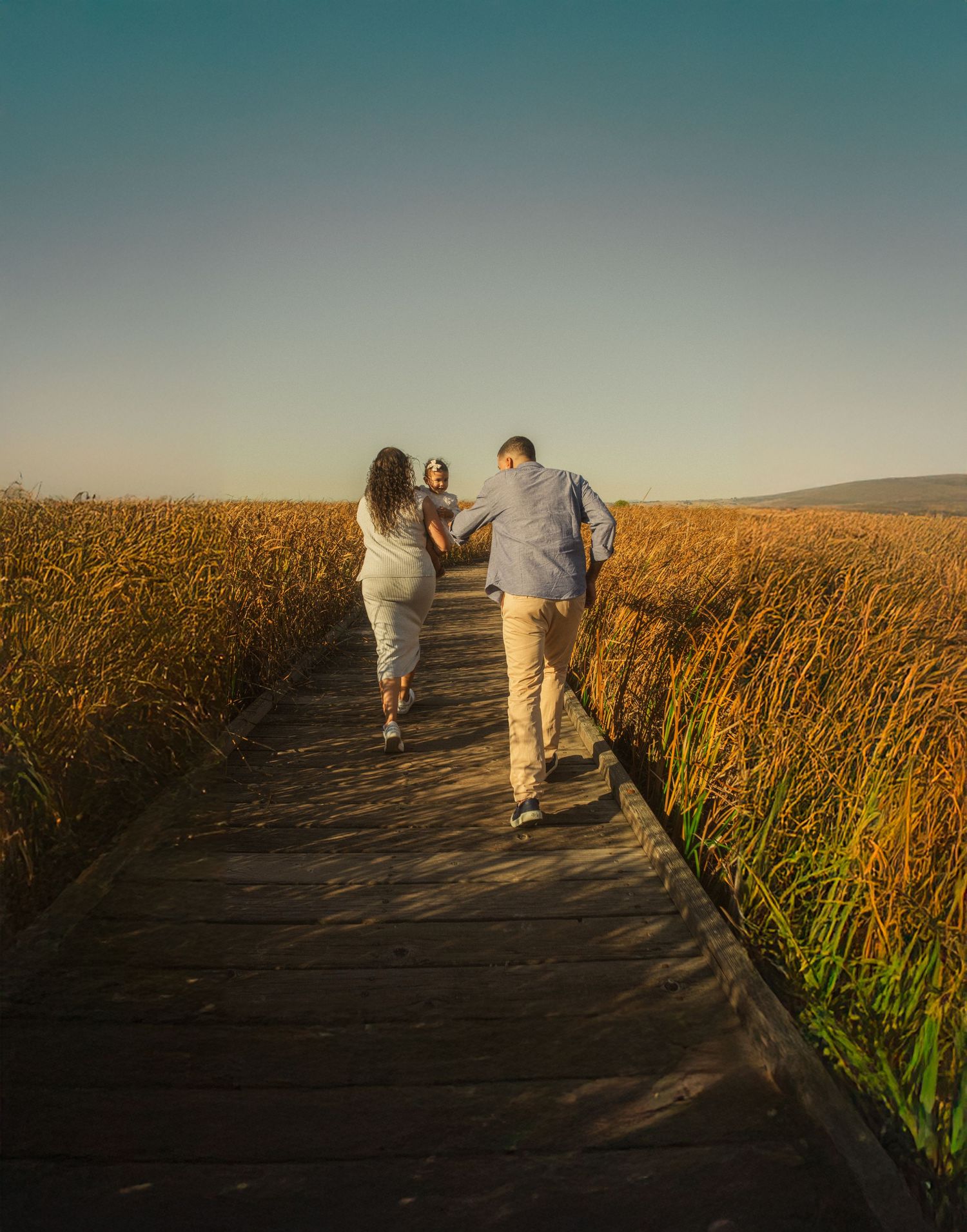 Couple walking along path between cornfields during sunset photoshoot.