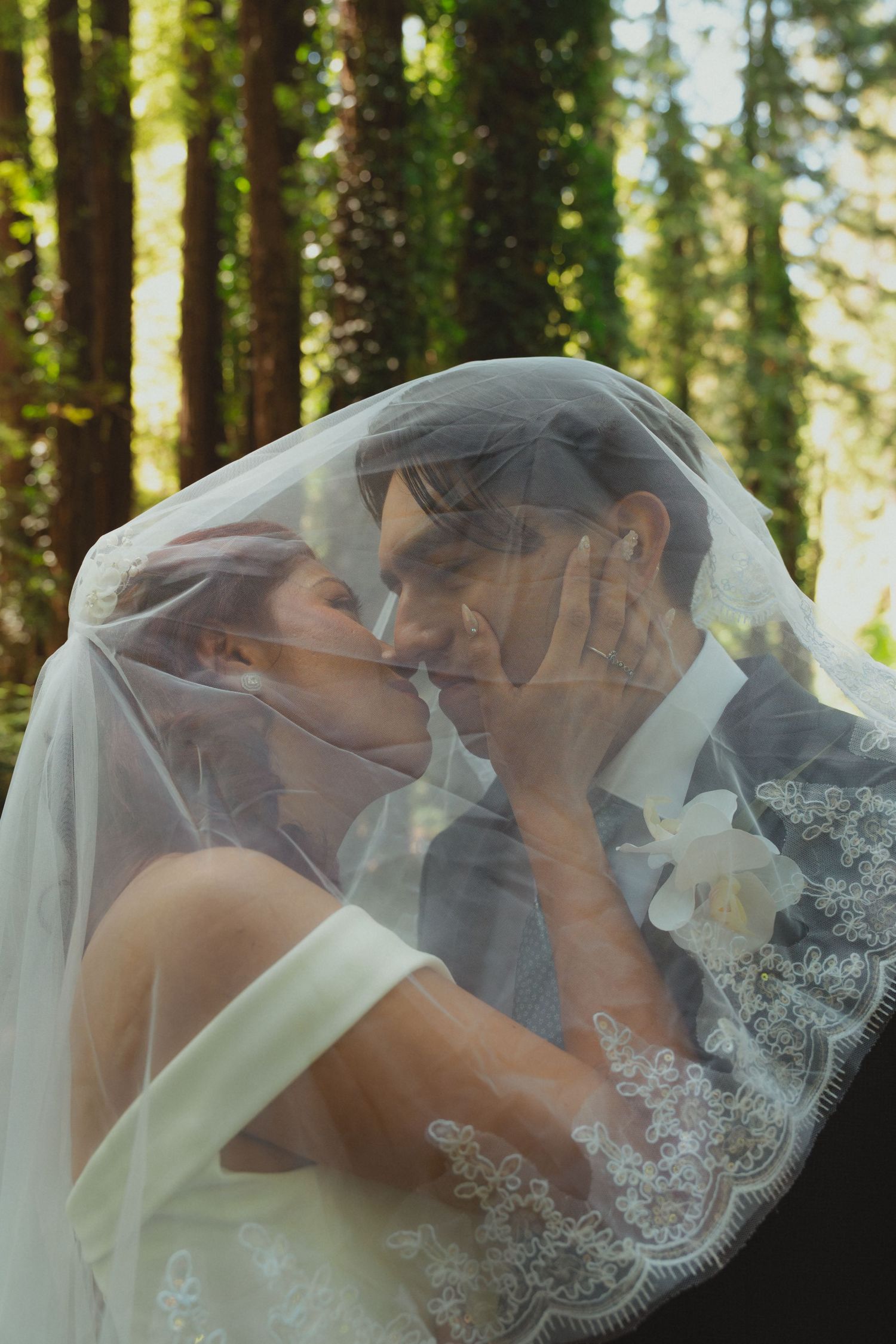 Bride and groom share an intimate kiss beneath a lace wedding veil in a sunlit forest setting.