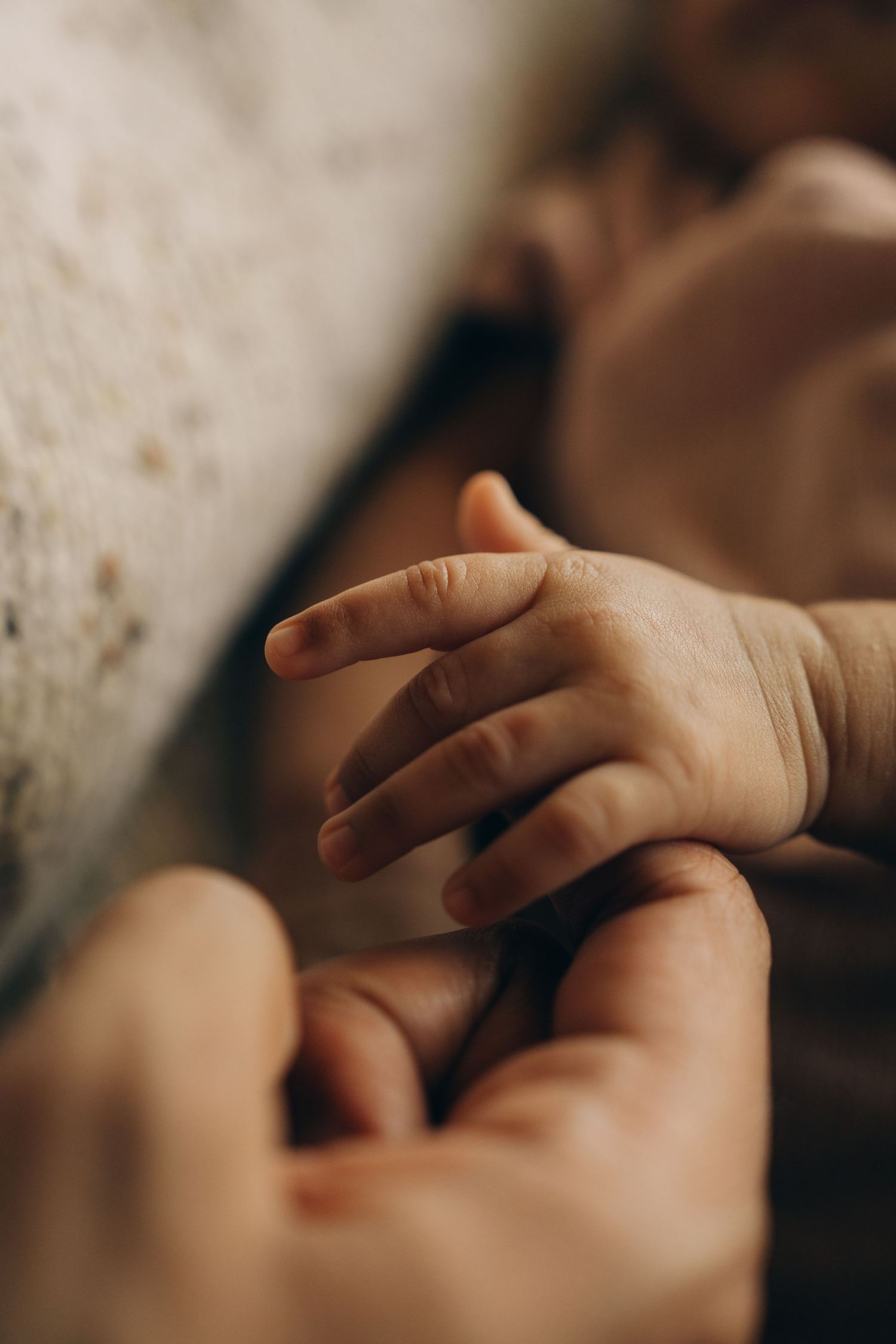 Newborn baby hand resting on adult finger in a delicate close-up bonding photo.