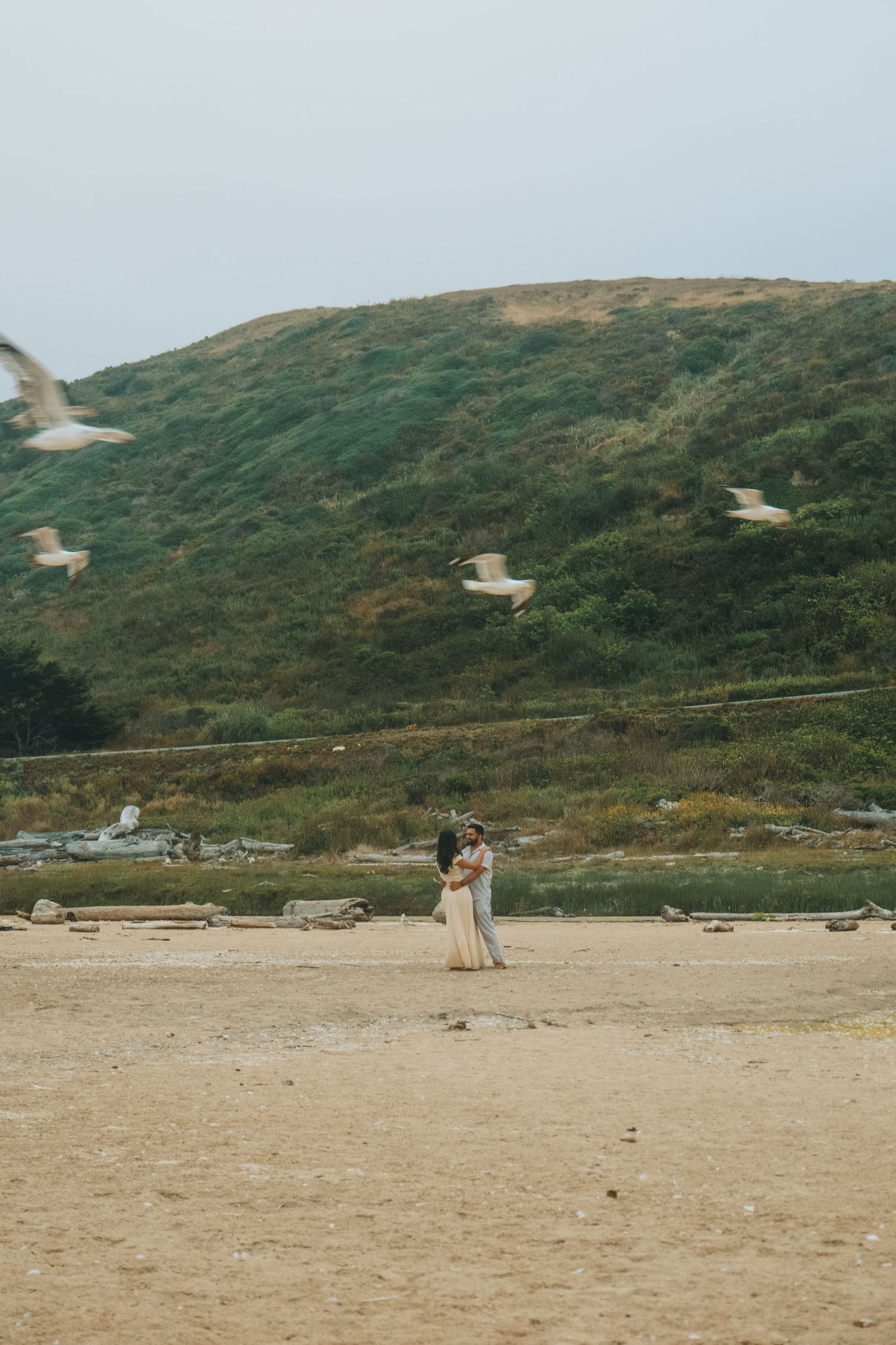 Couple embraces on beach with seagulls flying over green coastal cliffs.