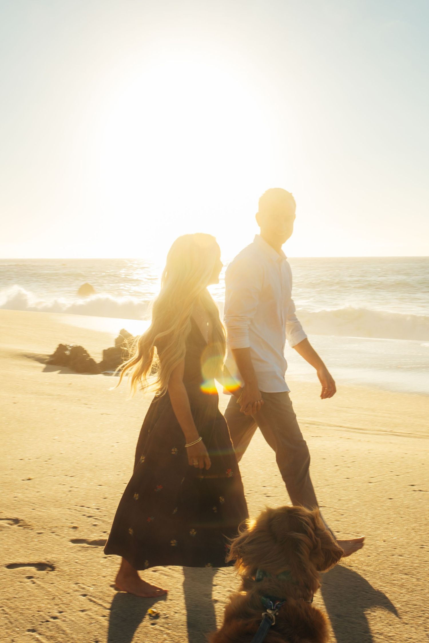 A couple walks their dog along the beach during golden hour with sun flares.