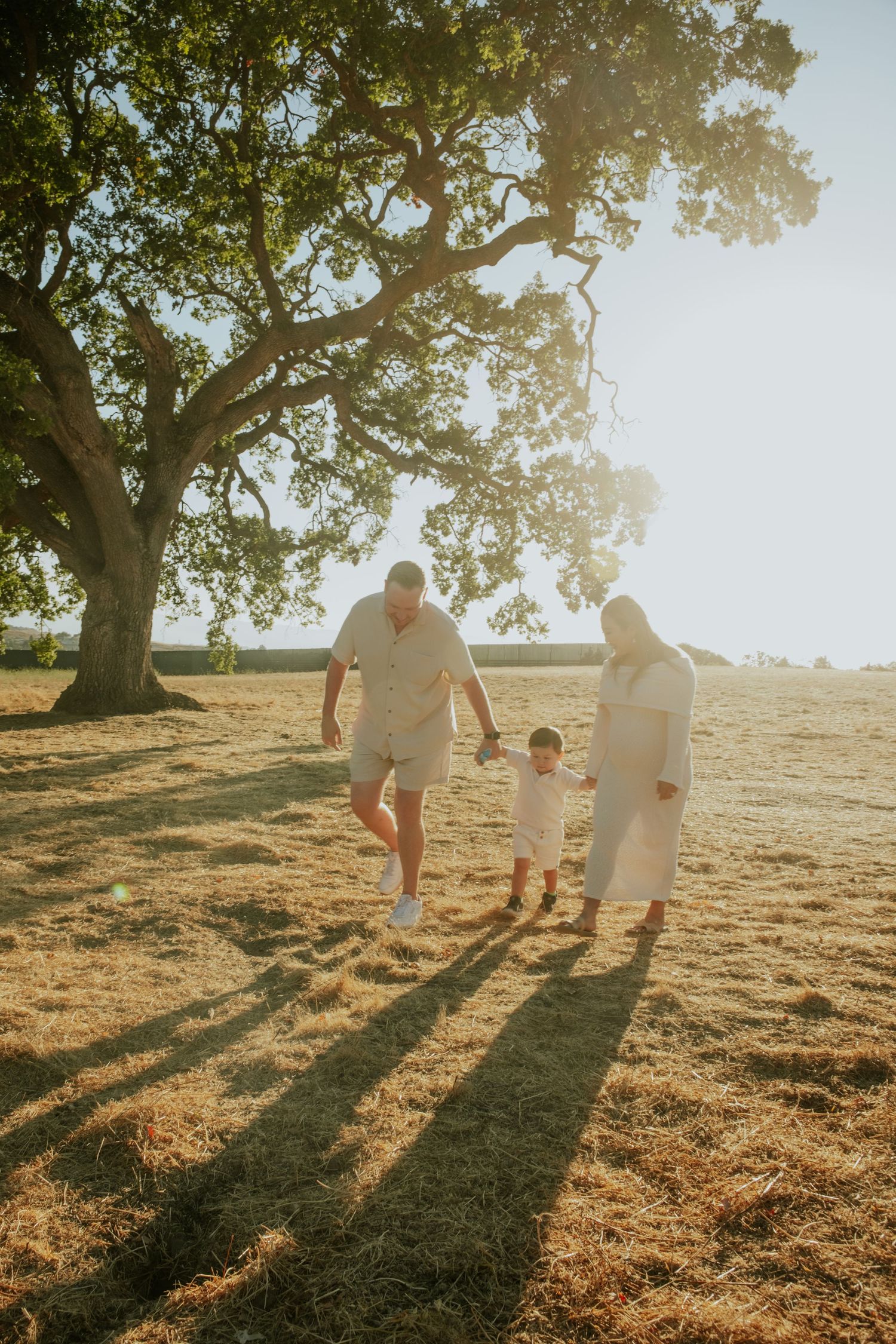 Long shadows cast by family walking together on grassy hill at sunset.