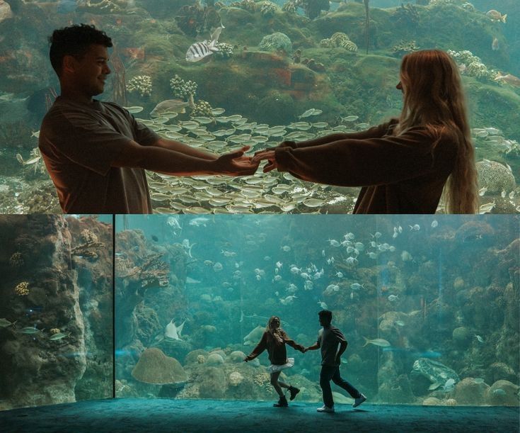 Couple admiring marine life through curved glass walls of a large aquarium exhibit.