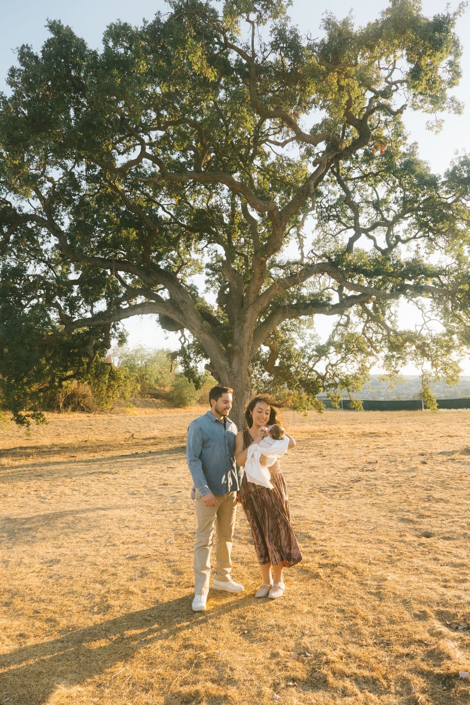 Couple walks through a sun-lit field with large oak trees in the background.