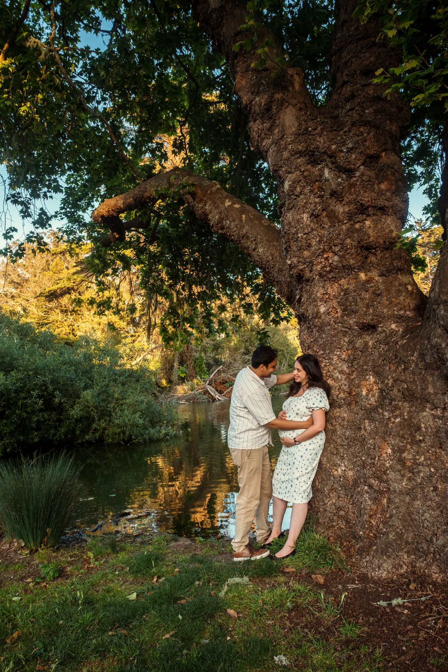 Romantic couple's photoshoot under a large tree during golden hour.