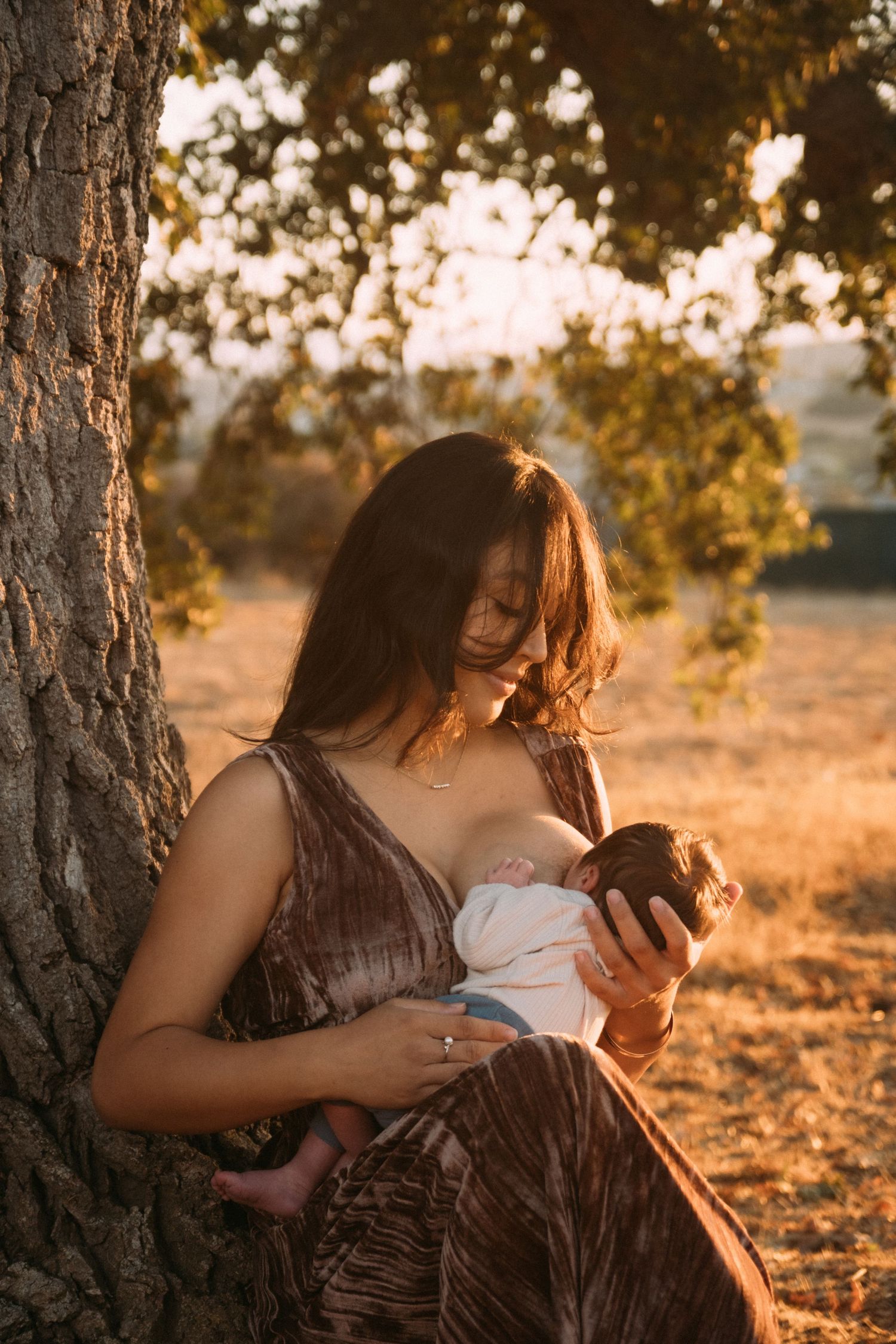 Intimate family portrait series taken under a tree during golden hour.