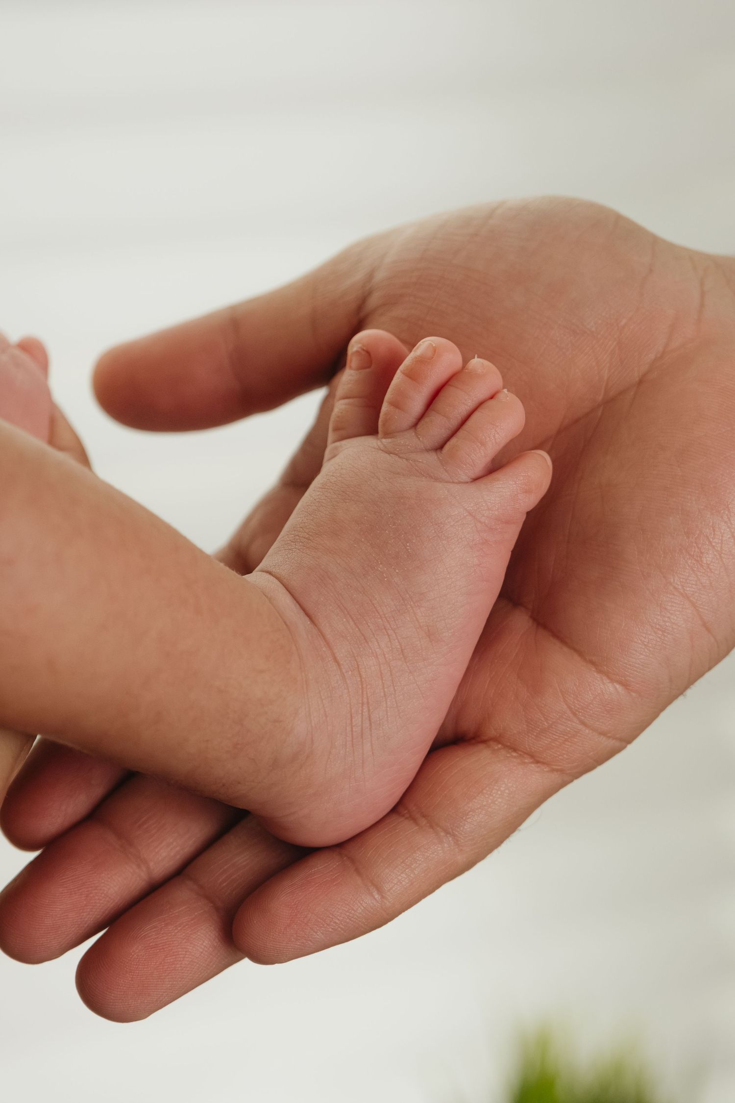 Series of close-up shots showing tiny baby feet against white background.
