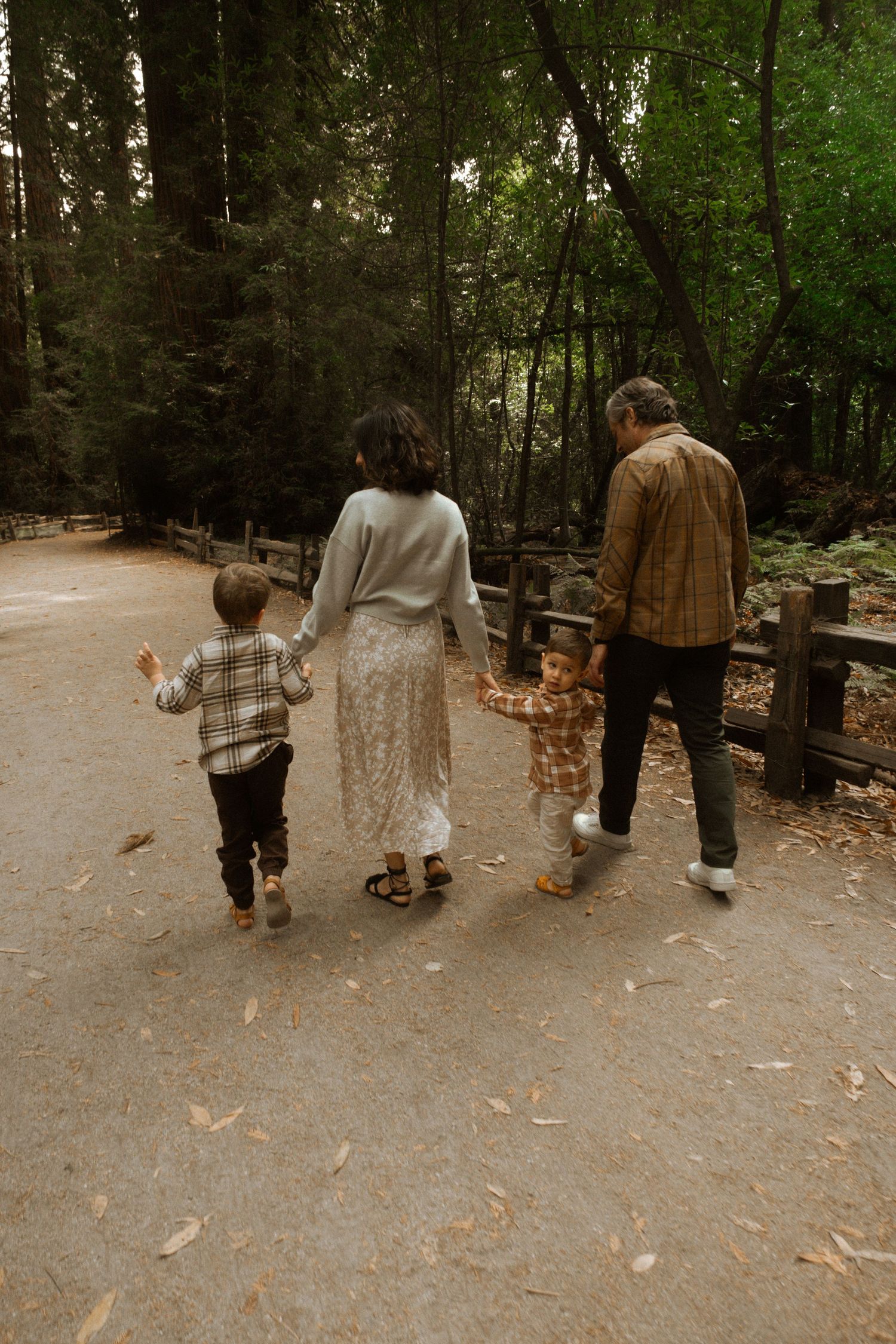 Three people walk together on a wooded path surrounded by tall trees and autumn leaves.
