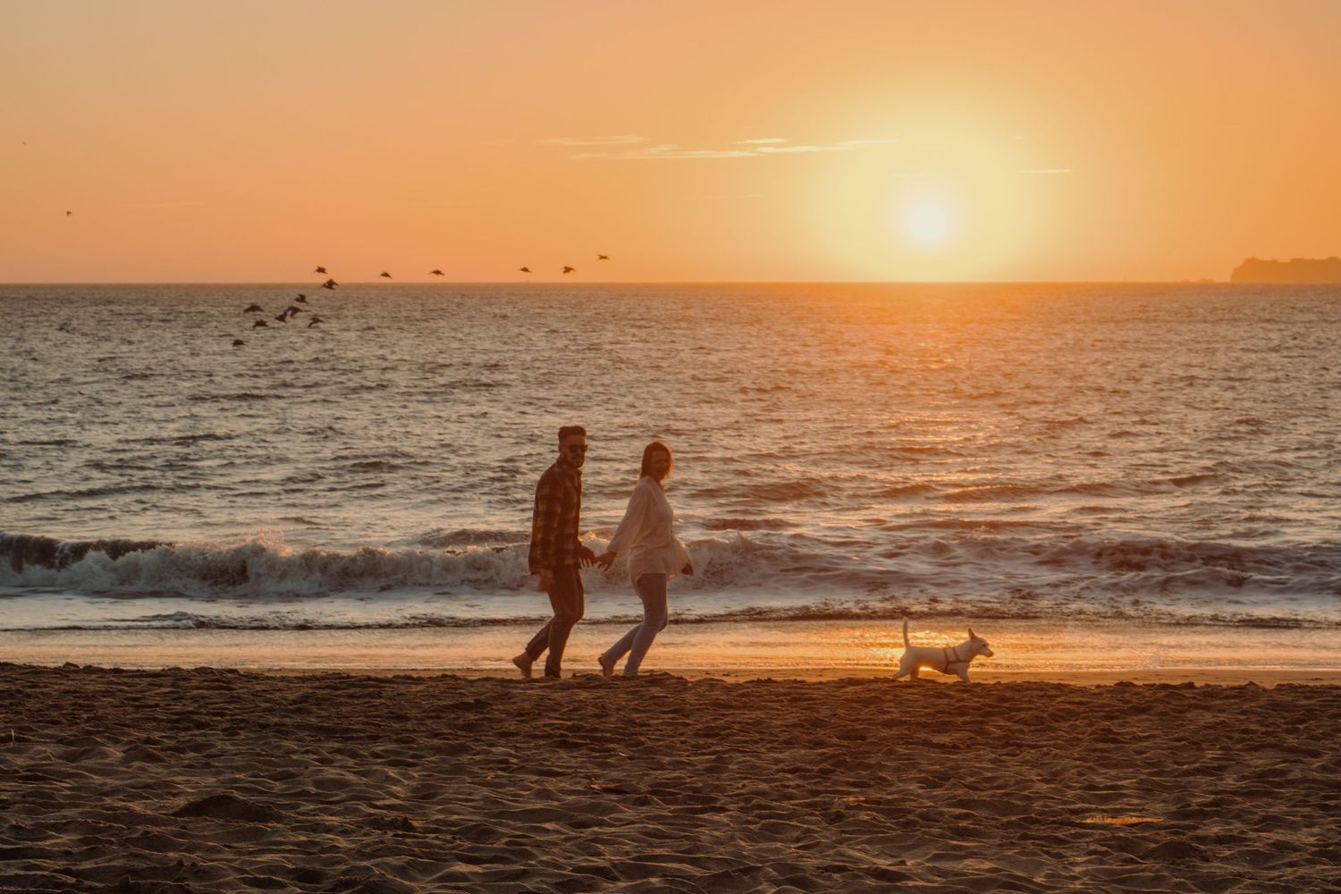 Silhouettes of people and a dog walking along a beach at sunset with golden light reflecting on the ocean.