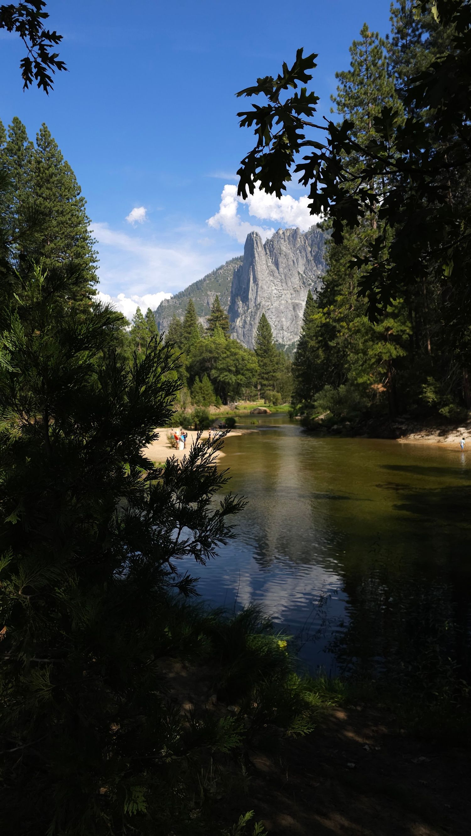 Scenic view of a river flowing past towering mountain peaks in a forested landscape.