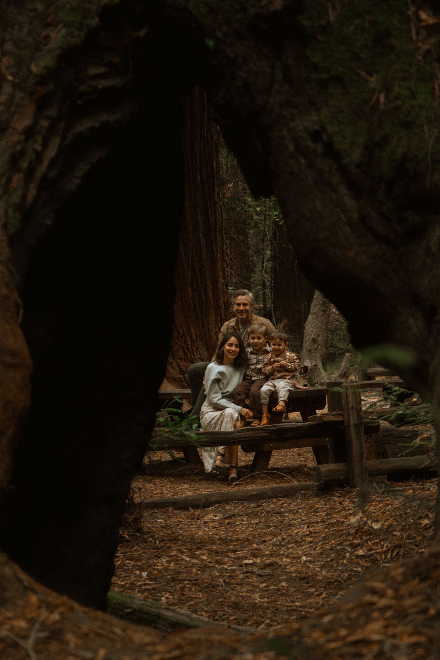 People rest on a fallen log beneath towering redwood trees in a dimly lit forest.
