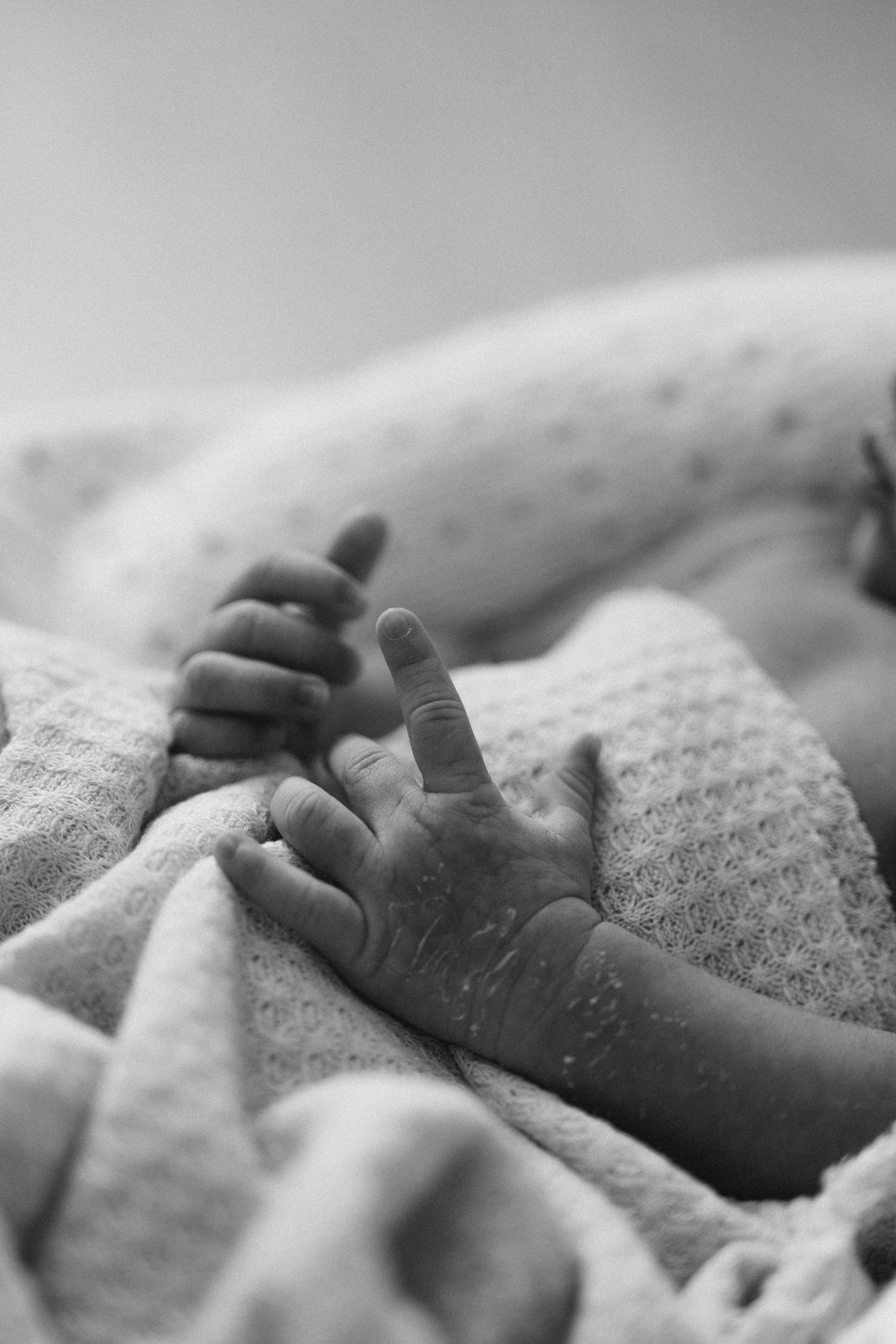 Black and white close-up of a newborn baby's tiny hands resting on a soft textured blanket.