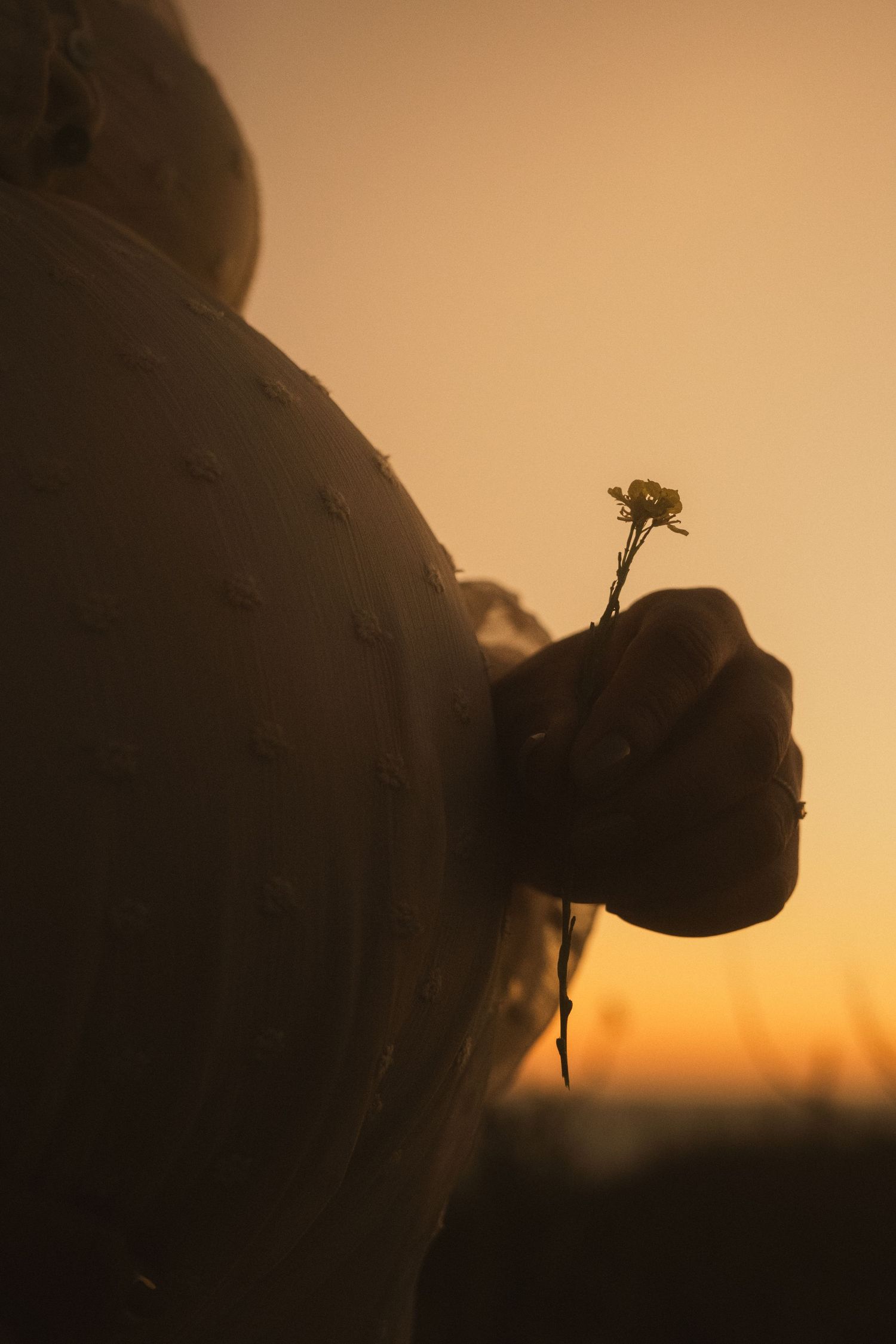 Silhouettes against a golden sunset sky with flowers in the foreground.