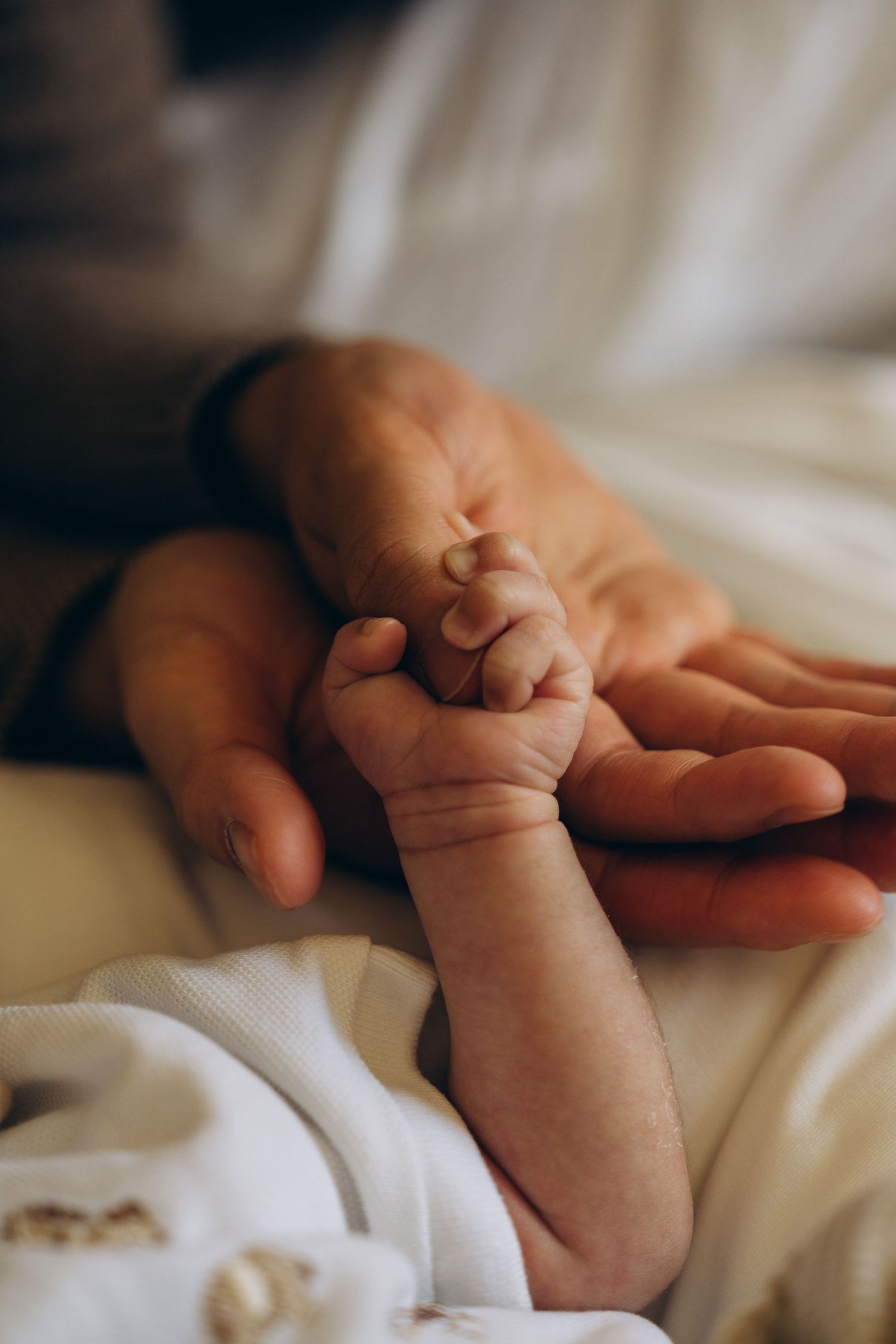 A newborn baby's tiny hand gently gripping an adult's finger, symbolizing new life and parental bond.