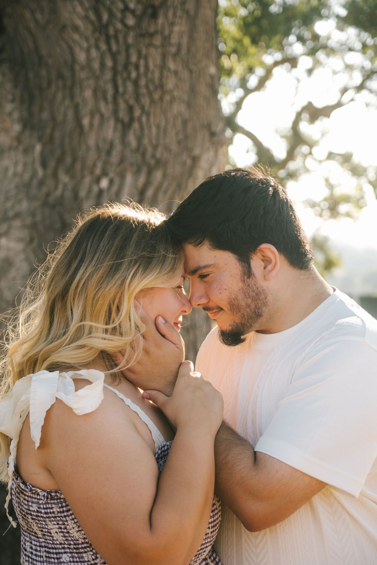 A romantic couple shares tender moments beneath a tree in warm sunlight.