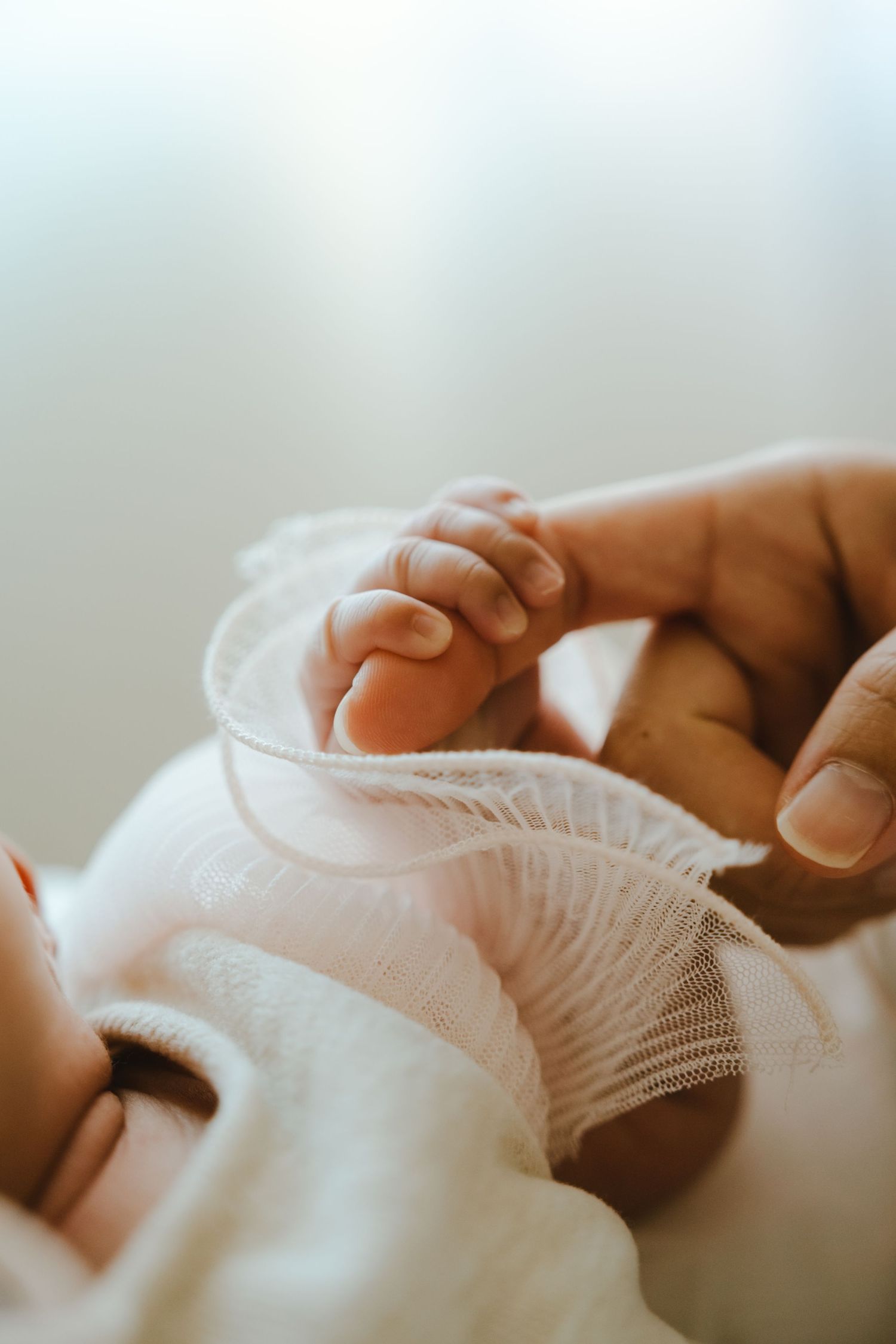 A newborn baby's tiny hand gently gripping an adult's finger, wearing a delicate white lace outfit.