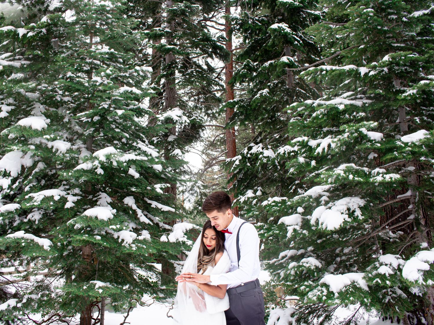 Dreamy winter wedding photo with couple embracing among snow-dusted pine trees.