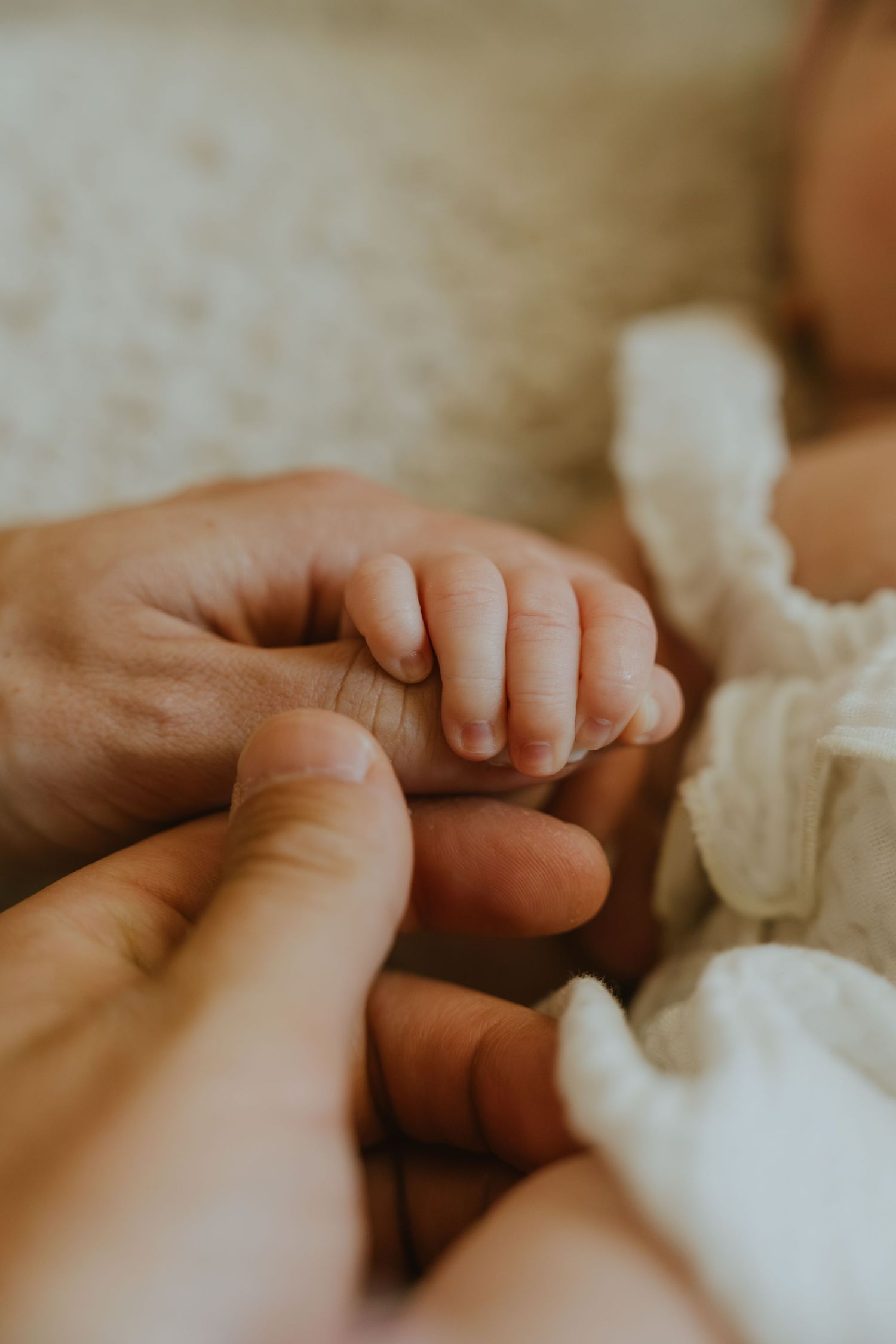 A newborn baby's tiny hand gently gripping an adult's finger, symbolizing new life and parental bond.