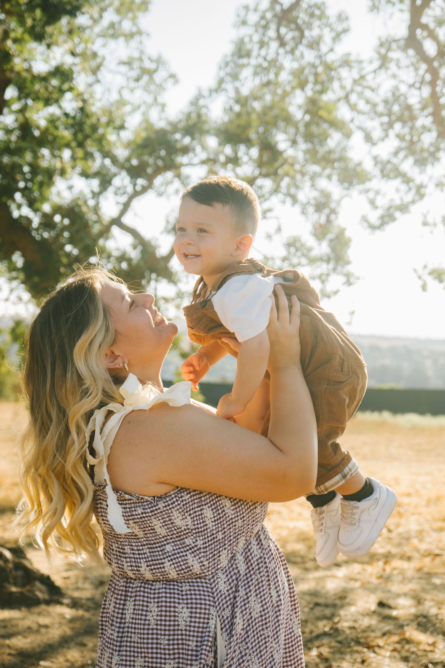 A series of candid family moments captured during golden hour in a natural setting.