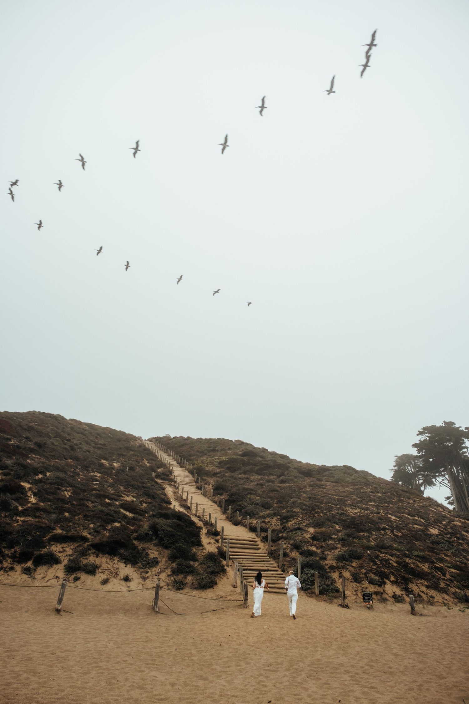 Birds flying over sandy hillside stairs leading to beach overlook.