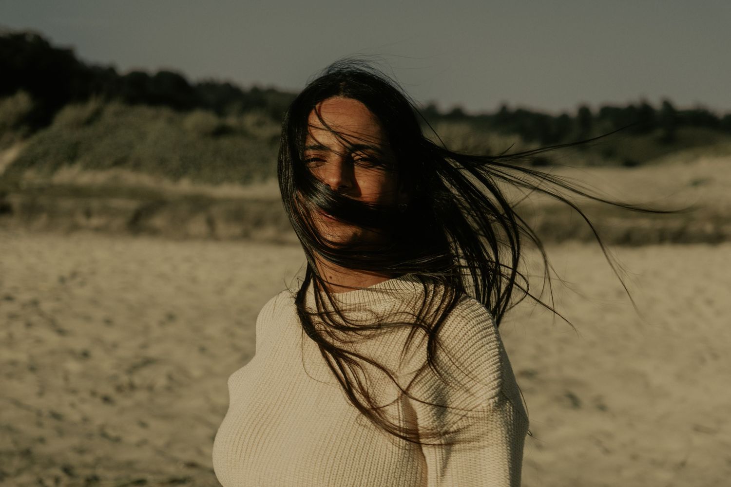 Windswept coastal scene with dramatic lighting and natural textures.