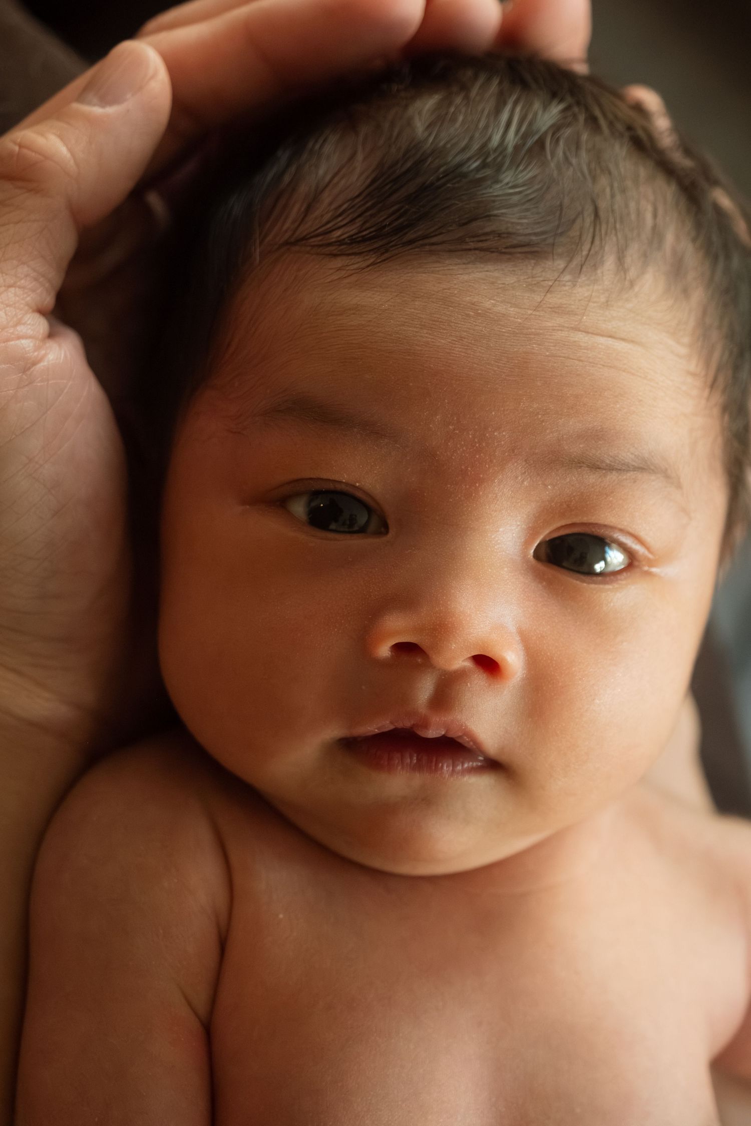 Close-up portrait of an adorable baby with bright eyes and soft skin being gently held.