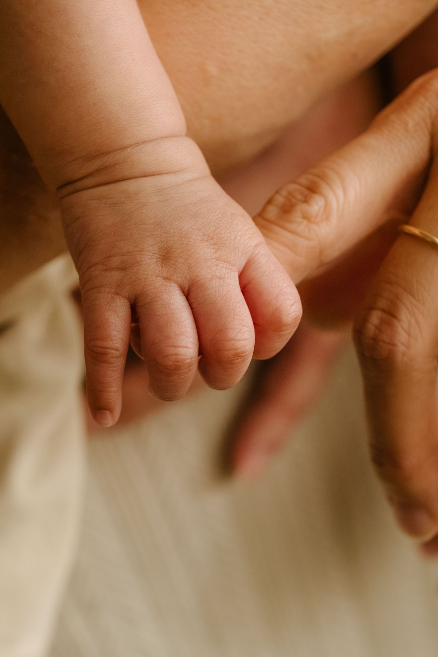 A newborn baby's tiny hand gently gripping an adult's finger, showcasing the delicate bond between parent and child.