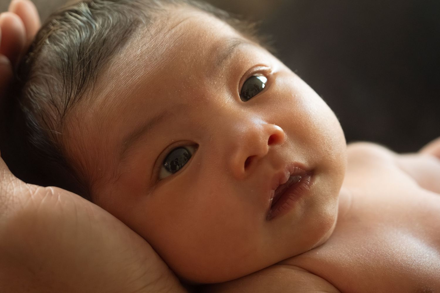 Close-up portrait of a newborn baby with dark hair and brown eyes, resting on an adult's hands.