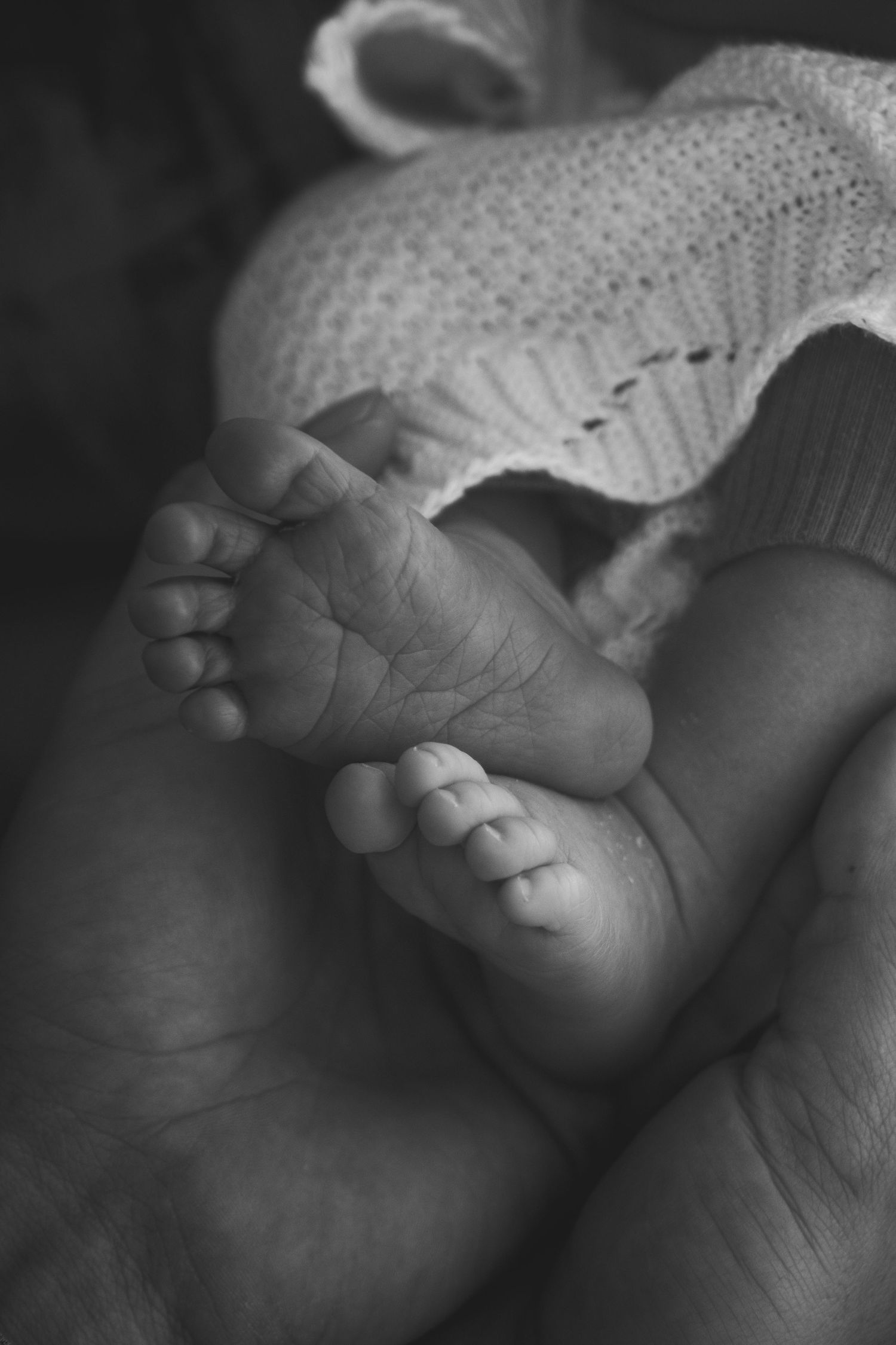 Black and white close-up of tiny baby feet wrapped in knitted fabric.