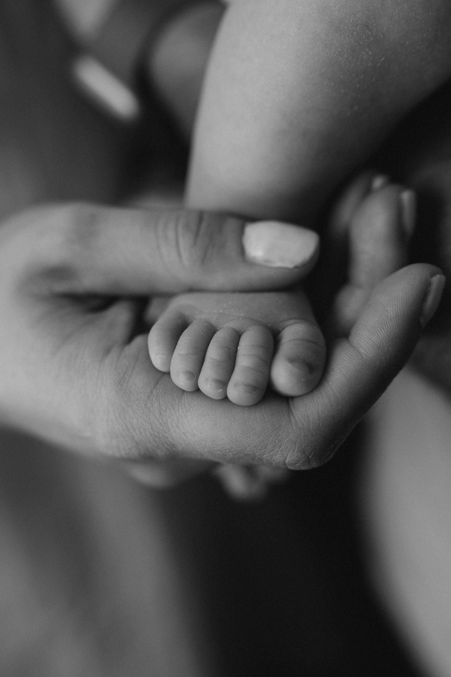 Black and white photo of a newborn baby's tiny hand resting gently in an adult's open palm.