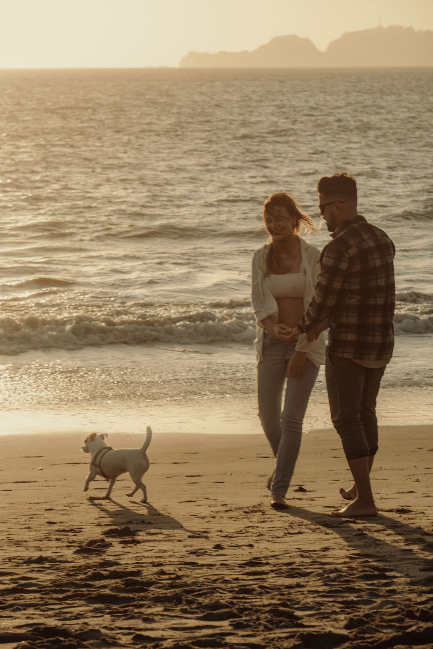 A couple walks their dog along a scenic beach at sunset with cliffs in the background.