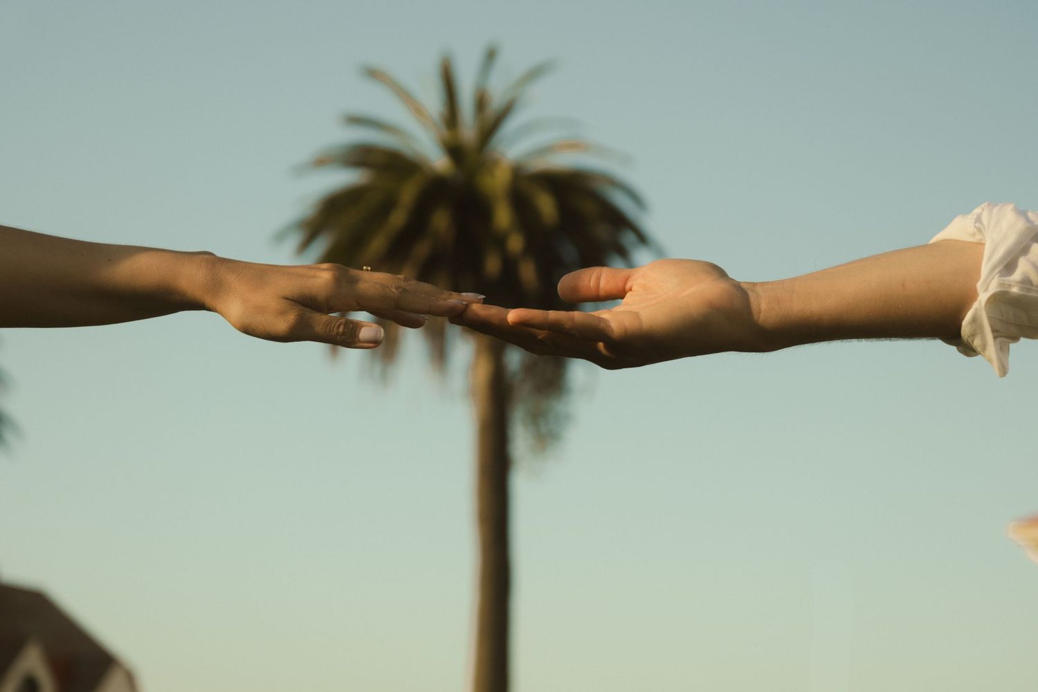 Hands passing objects between them against a palm tree and sky background.