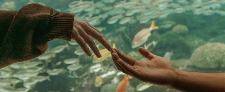 Two hands reaching toward each other against aquarium background.