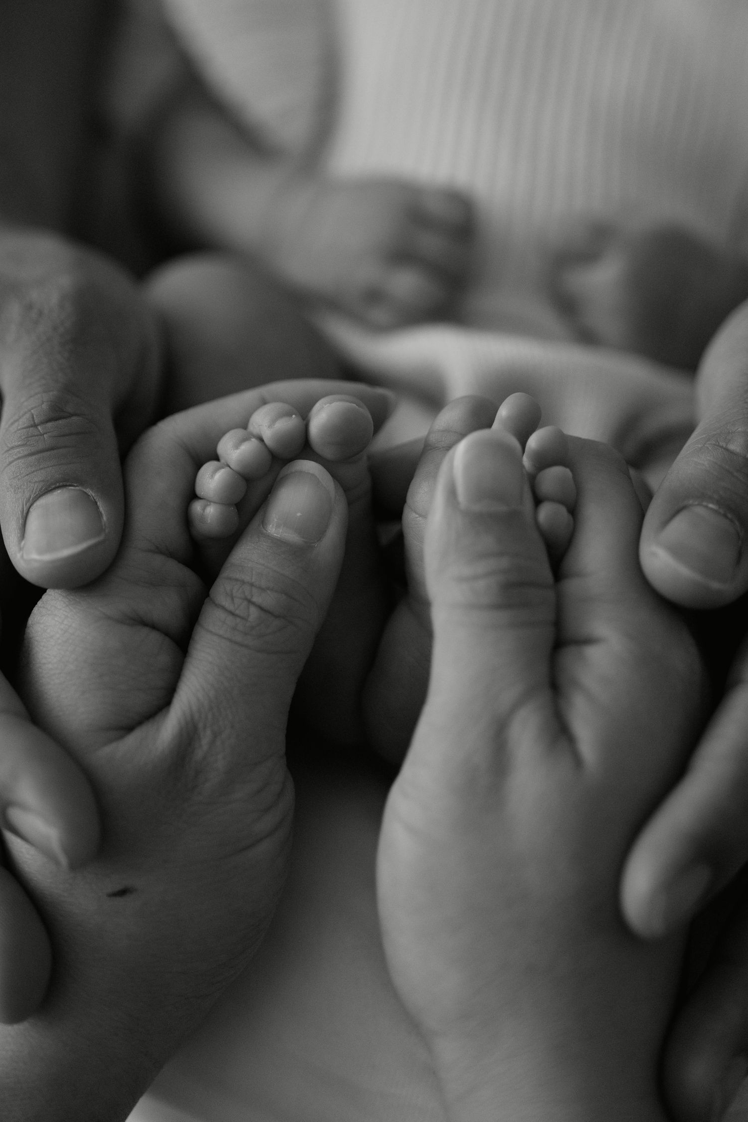 Black and white photo of adult hands gently cradling tiny newborn baby feet, symbolizing love and new parenthood.