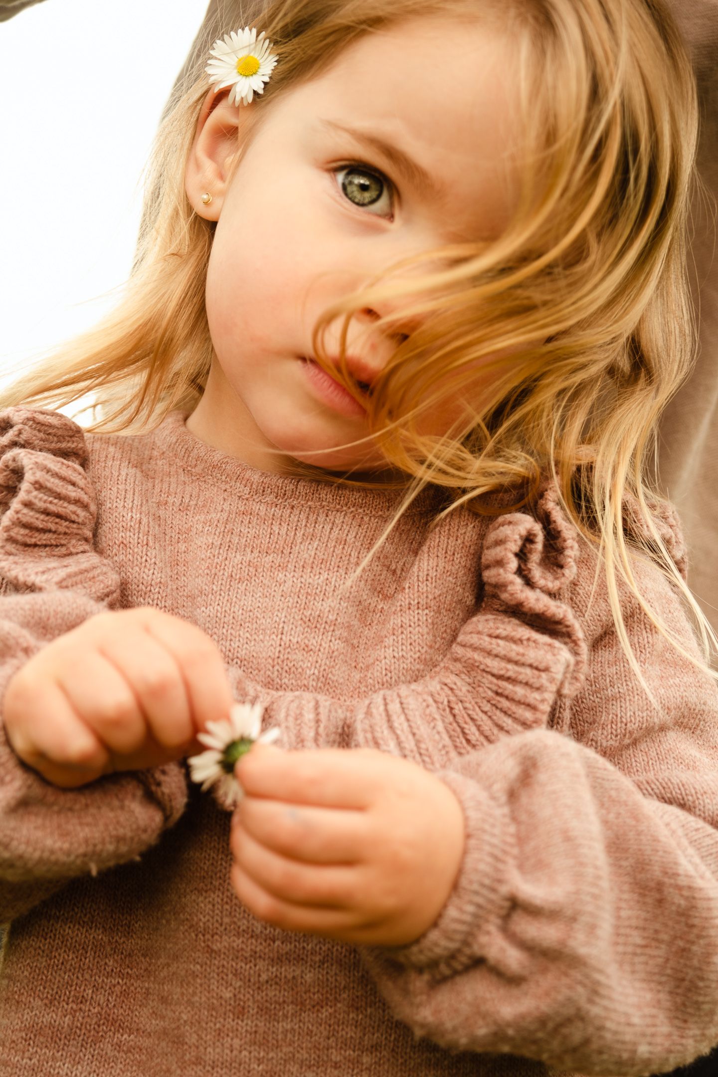 Child in pink sweater examining a small daisy flower with gentle curiosity.
