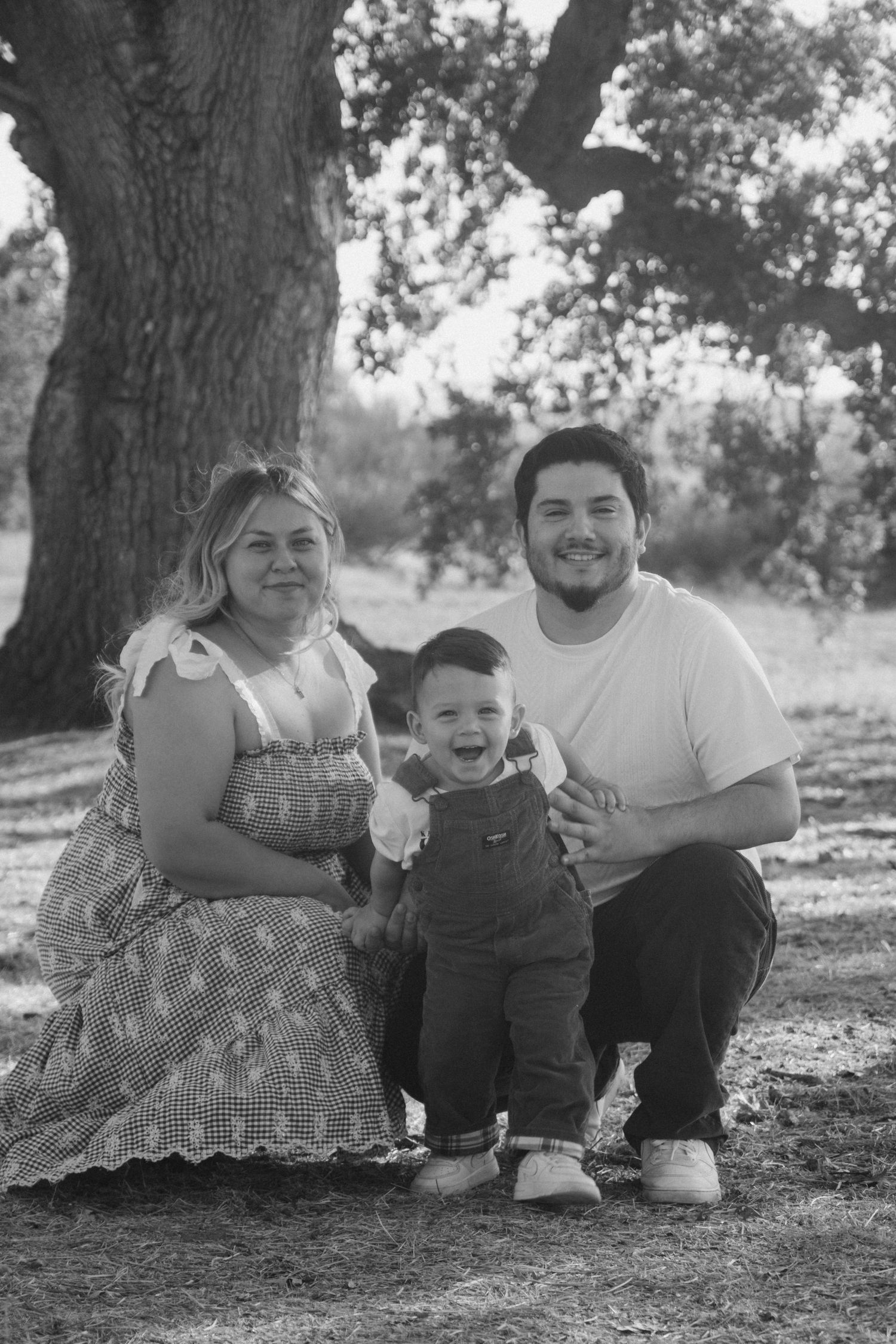 Black and white portrait of a family relaxing under a large tree.