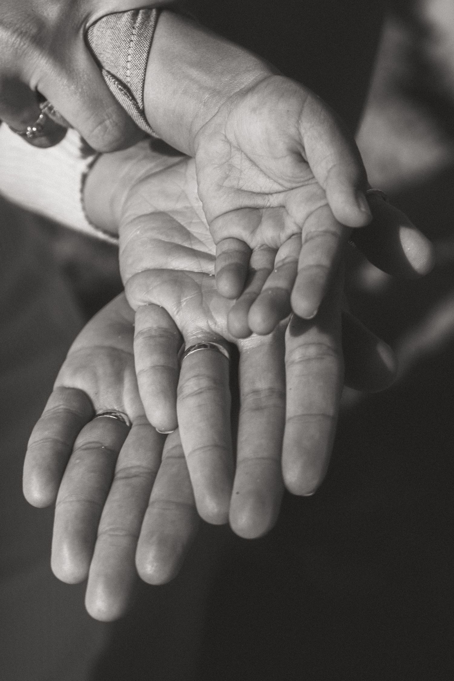 Black and white close-up of two hands gently touching, showing wedding rings.