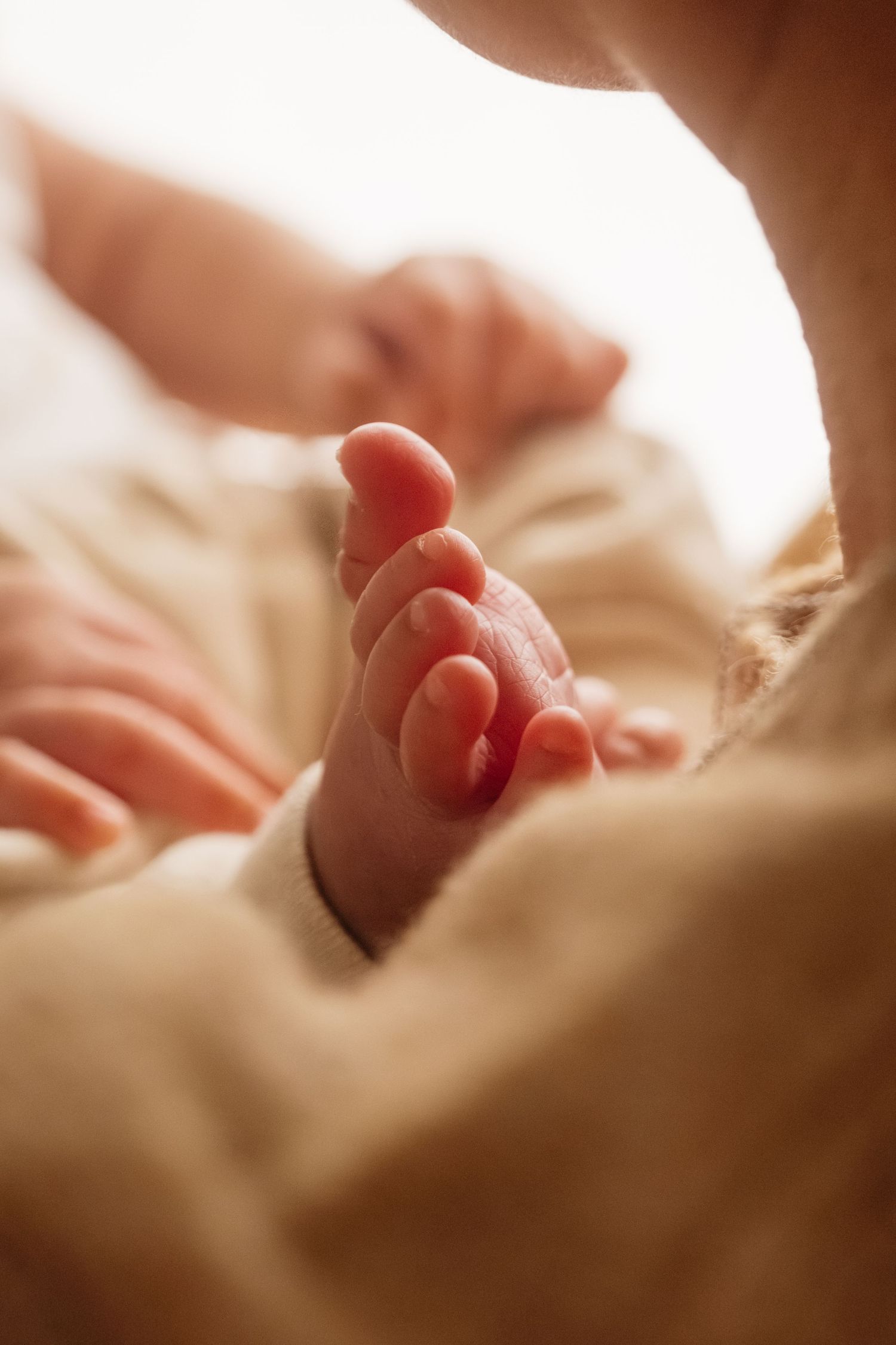 Close-up of a tiny baby's foot with soft natural lighting.