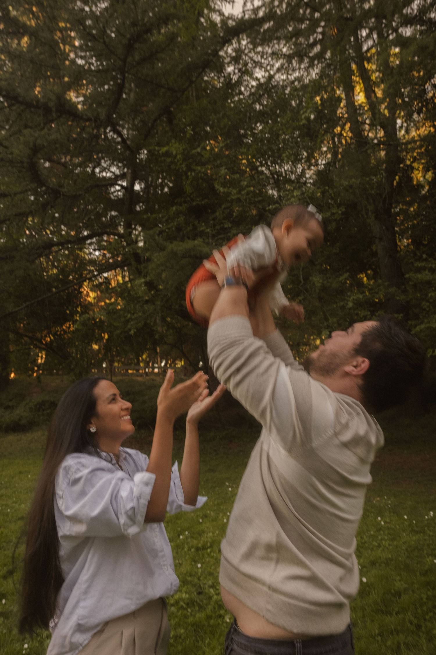 A series of photos showing a baby being lifted playfully in the air during golden hour.