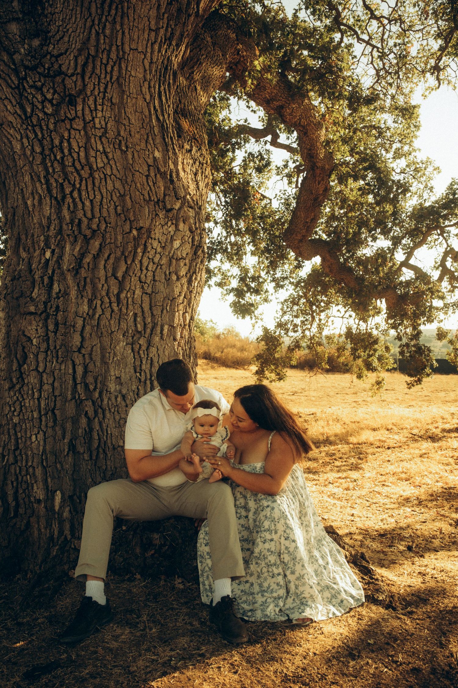 Family rests against a large tree trunk during a sunset photo session.