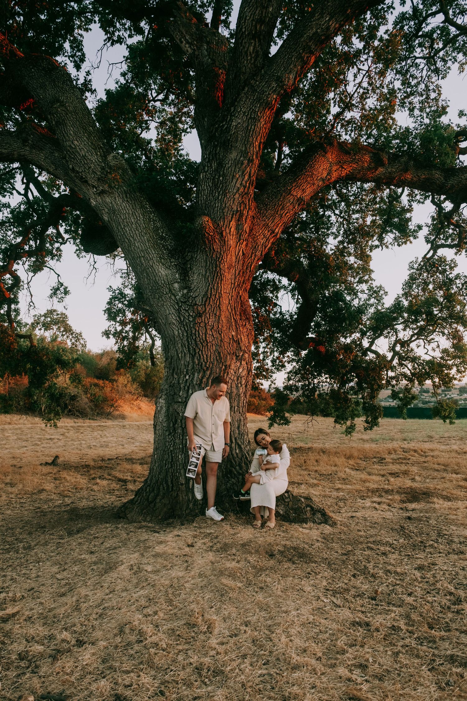 A family poses together under a large oak tree in a golden field at sunset.