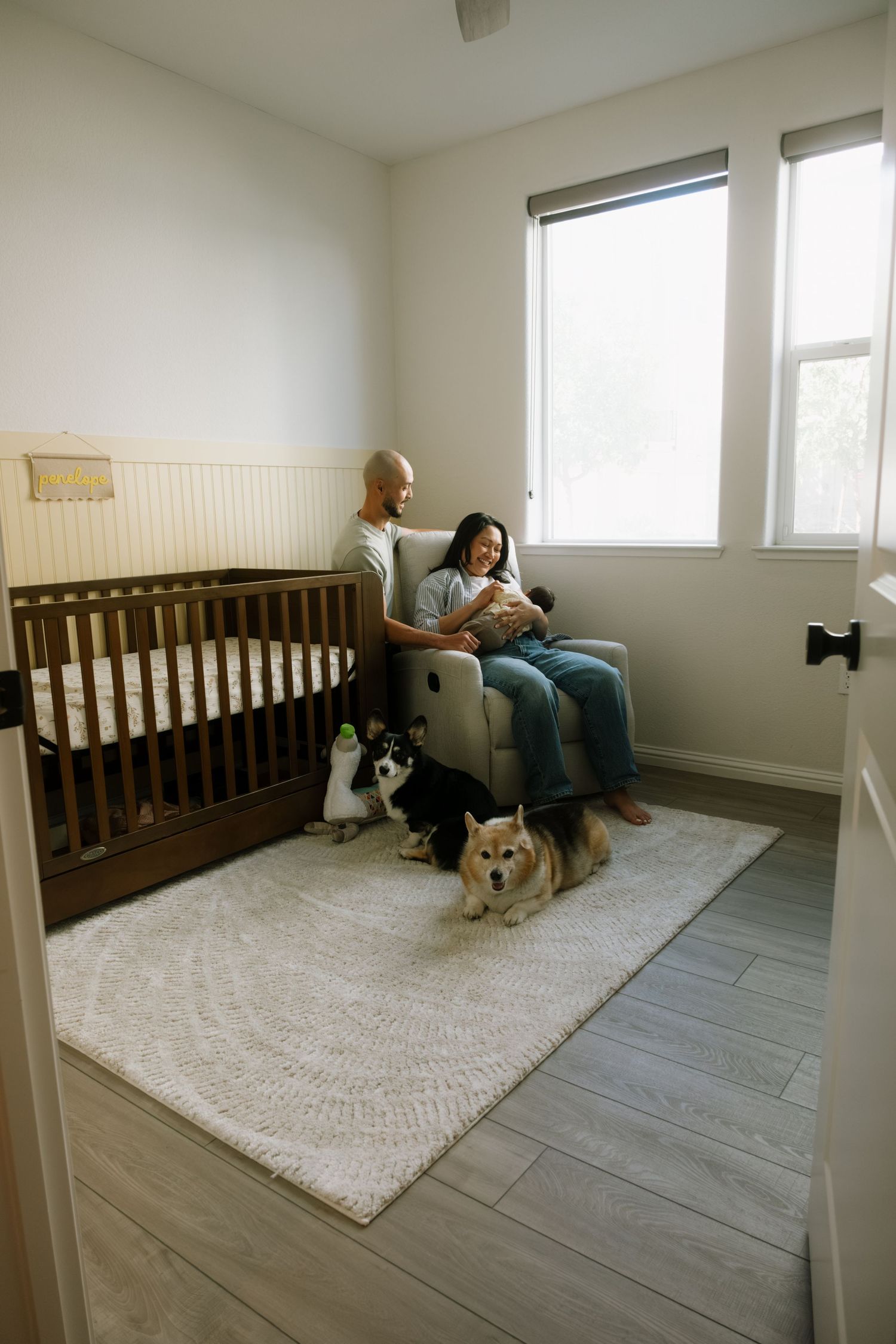 Four sequential images showing a cozy reading nook with a wooden bench, plush rug, and dogs relaxing in natural light.
