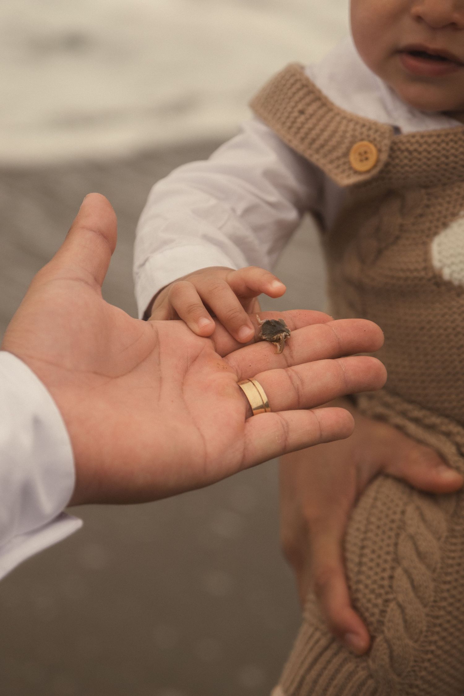 Close-up of hands showing a small object on a beach.