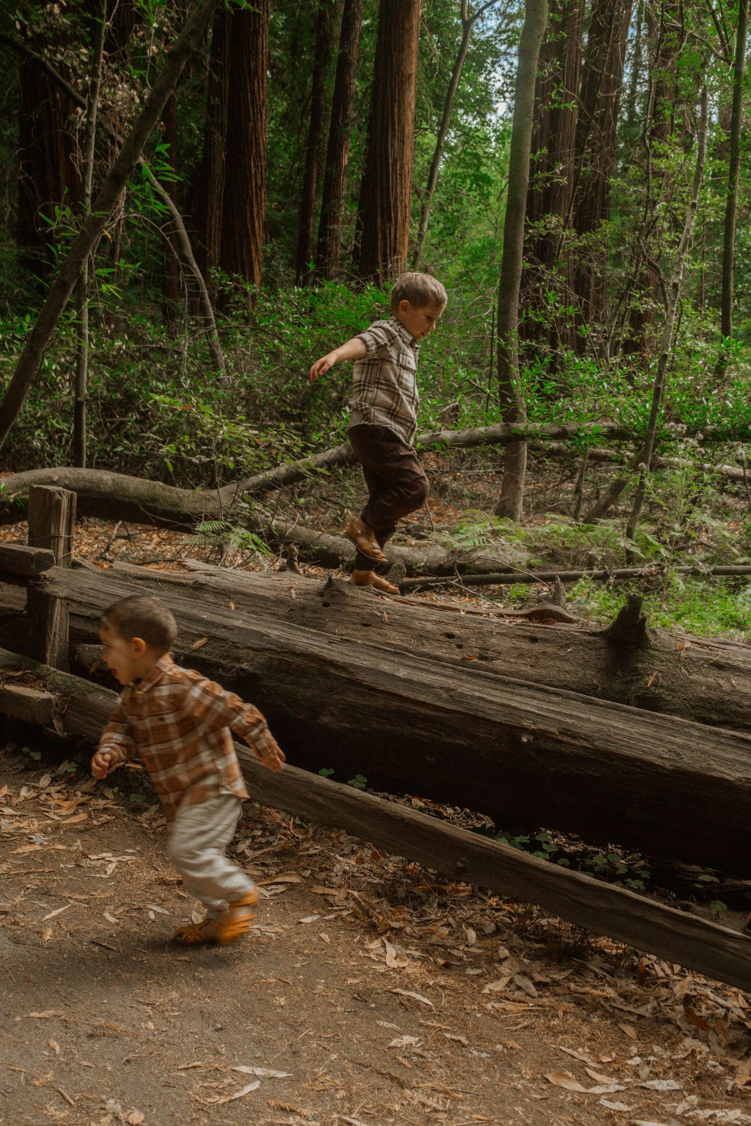 Children playing and climbing on a fallen log in a lush forest setting.