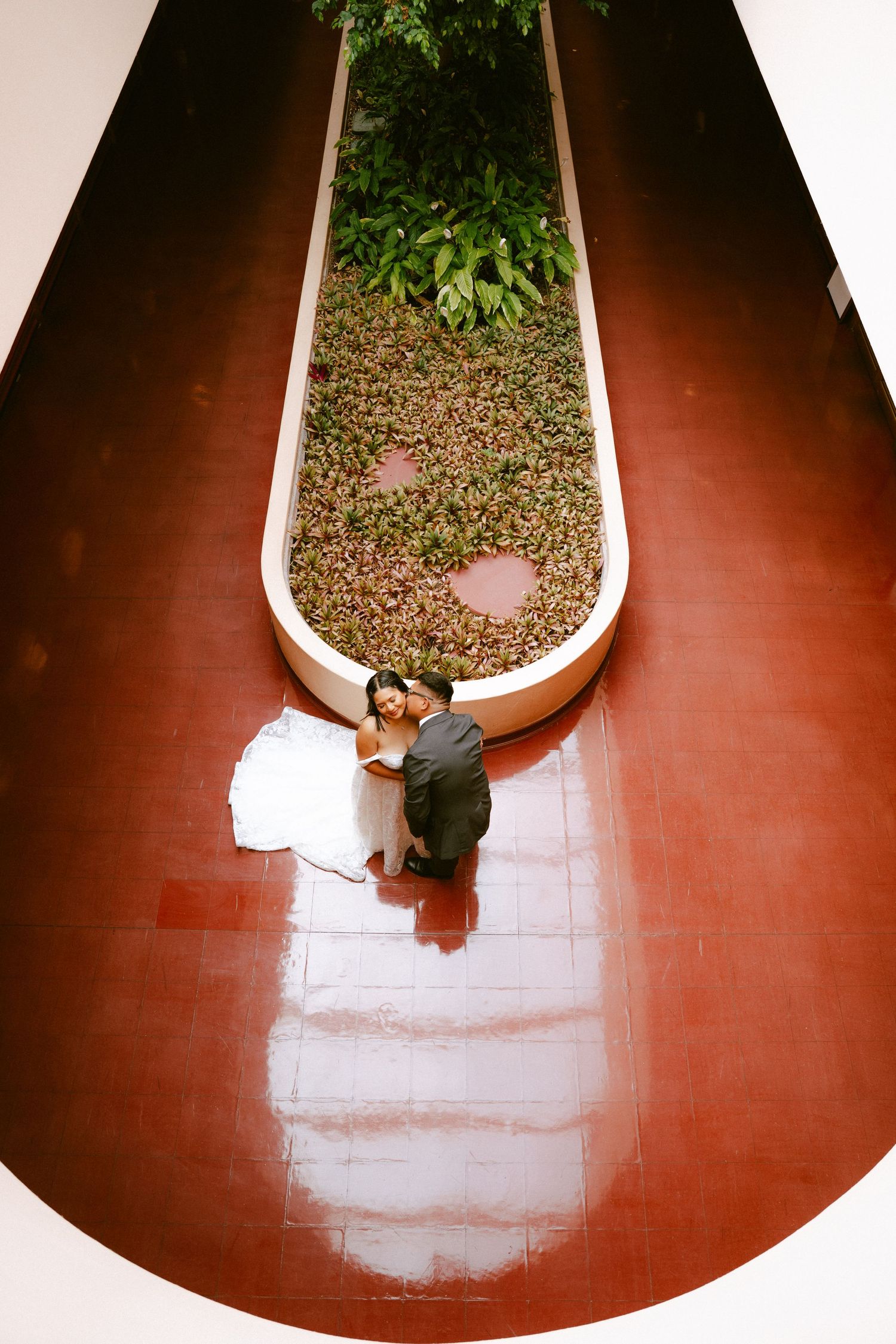 Aerial view of bride and groom embracing on red floor beside lush green garden planter at wedding venue.