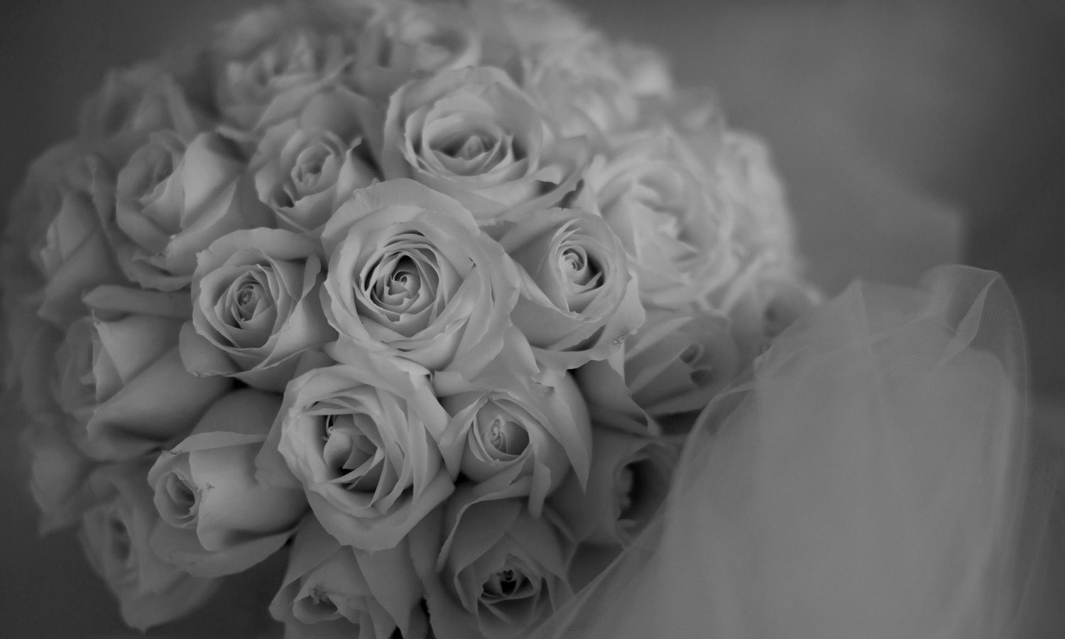 A series of black and white photographs showing elegant rose bouquets from different angles.